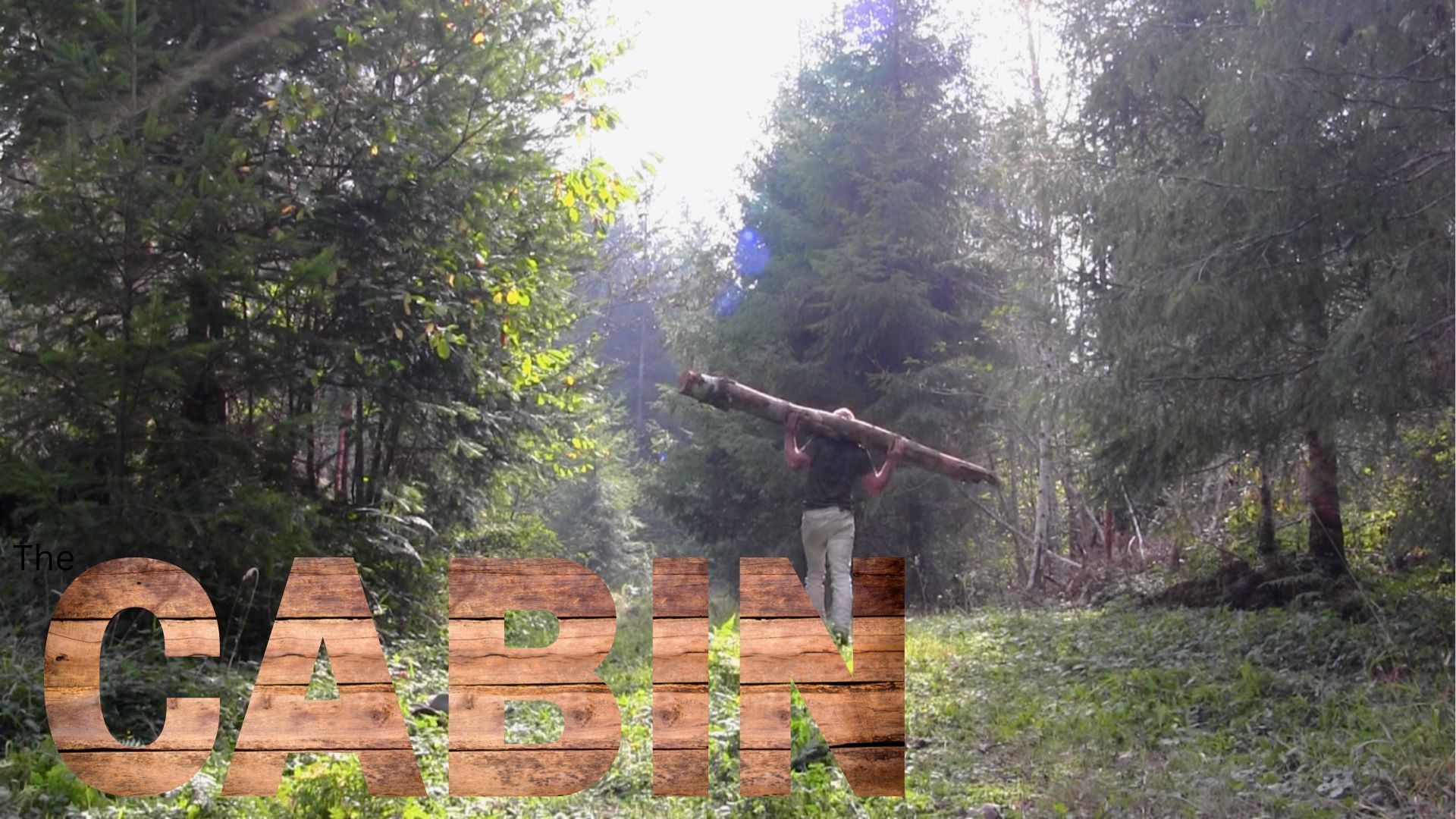 The Cabin background