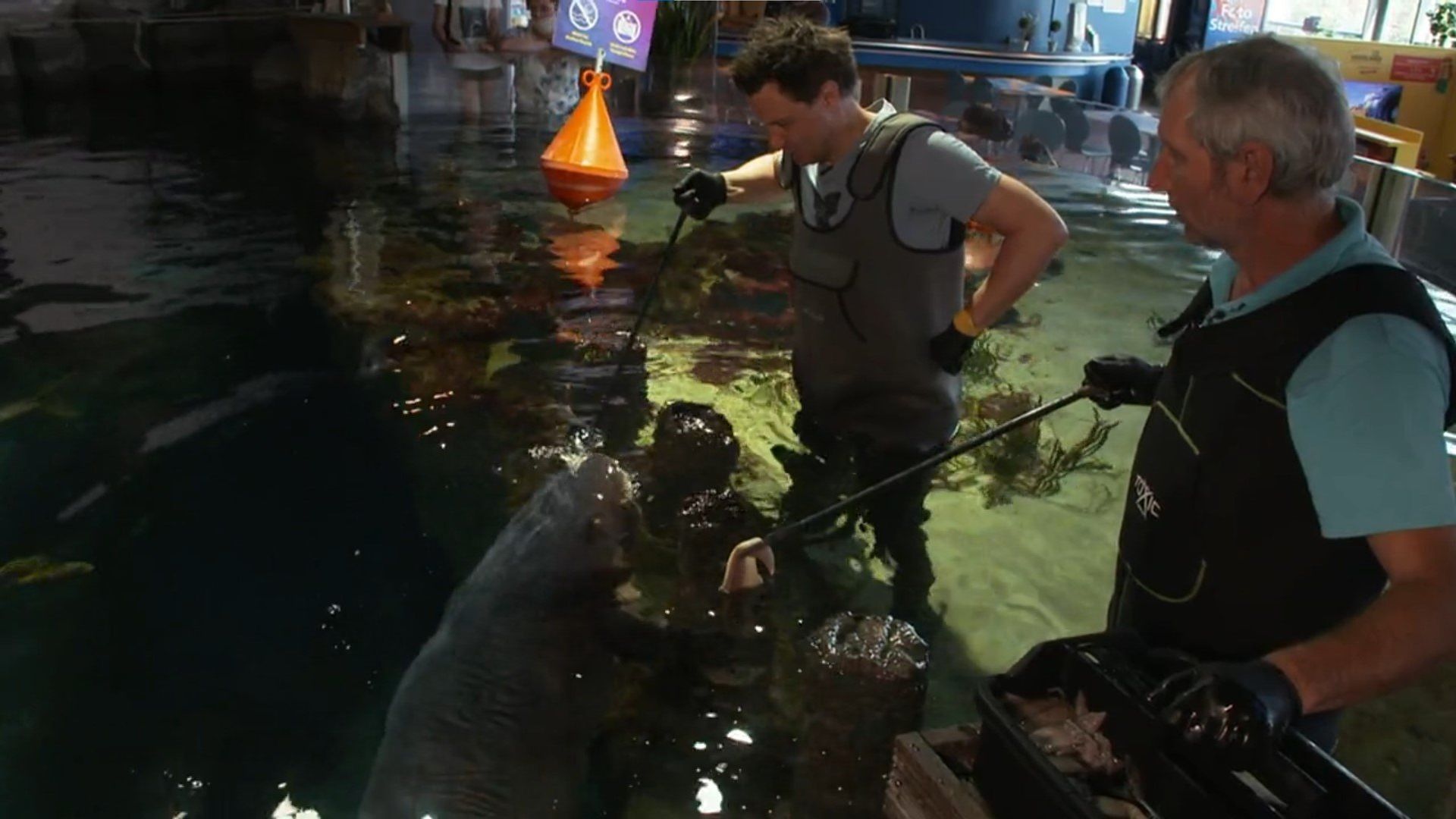 Die Sendung mit dem Elefanten background