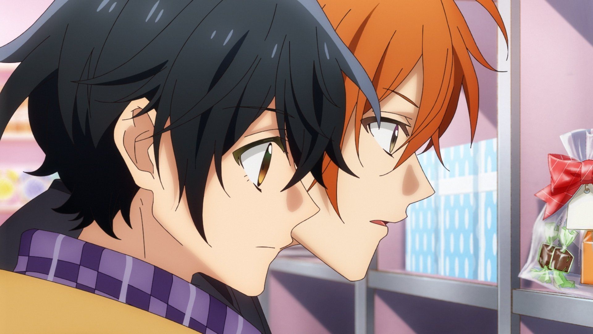 Sasaki and Miyano background