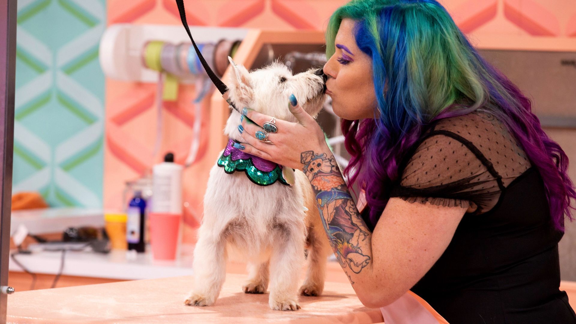 Haute Dog background