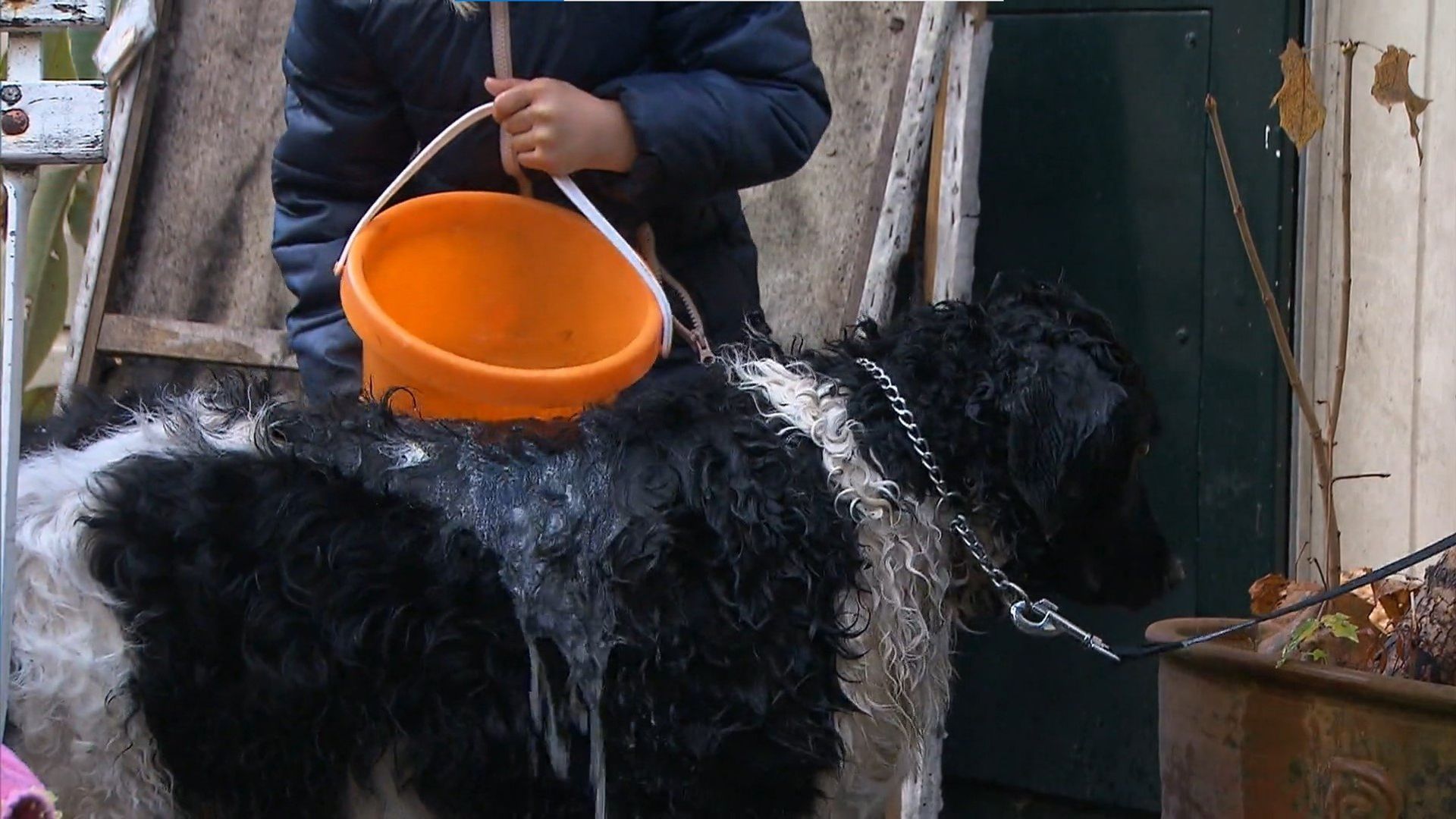 Die Sendung mit dem Elefanten background