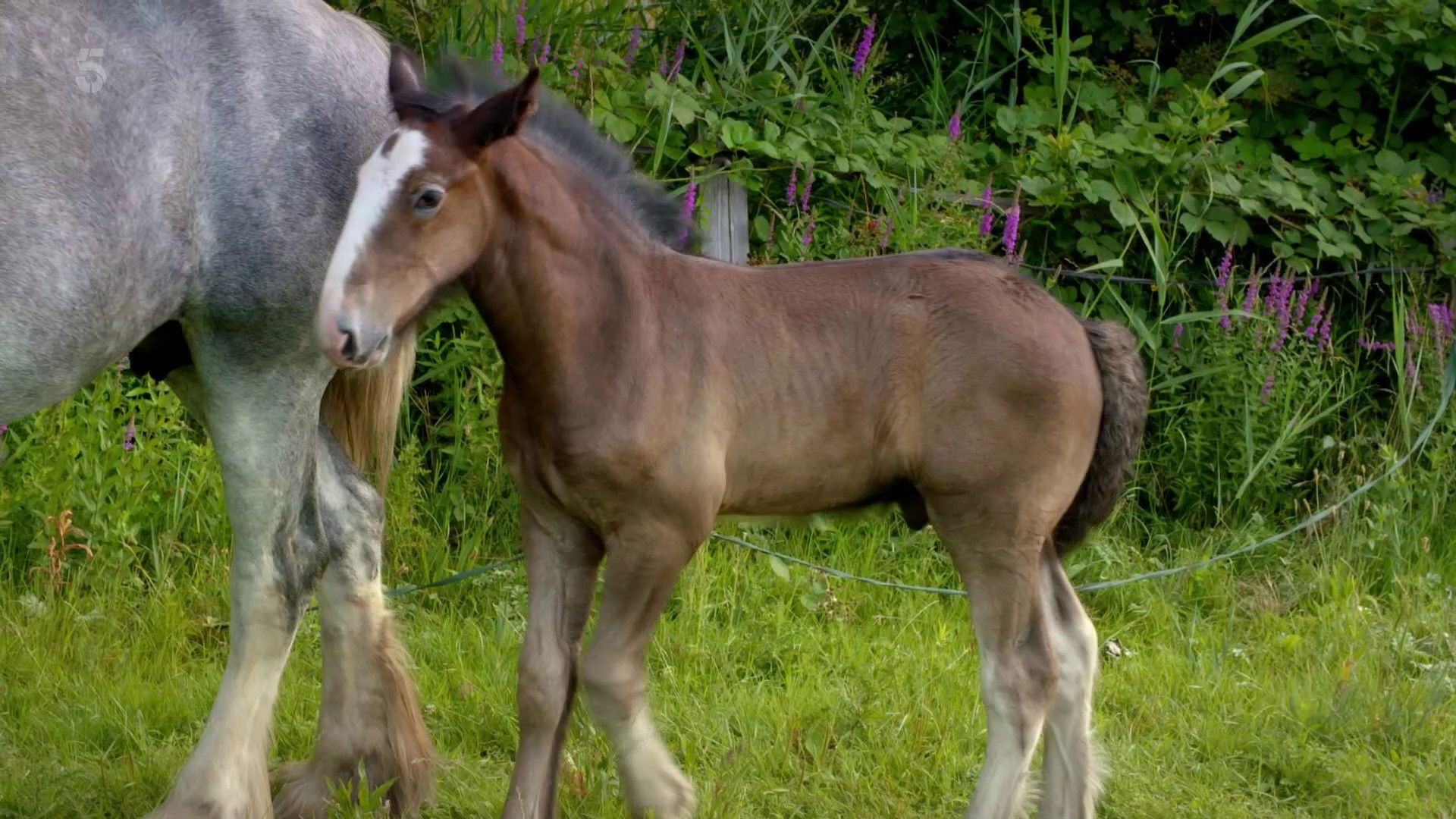 Hampton Court: Behind Closed Doors background