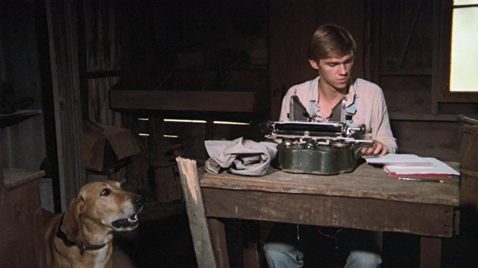 The Waltons background