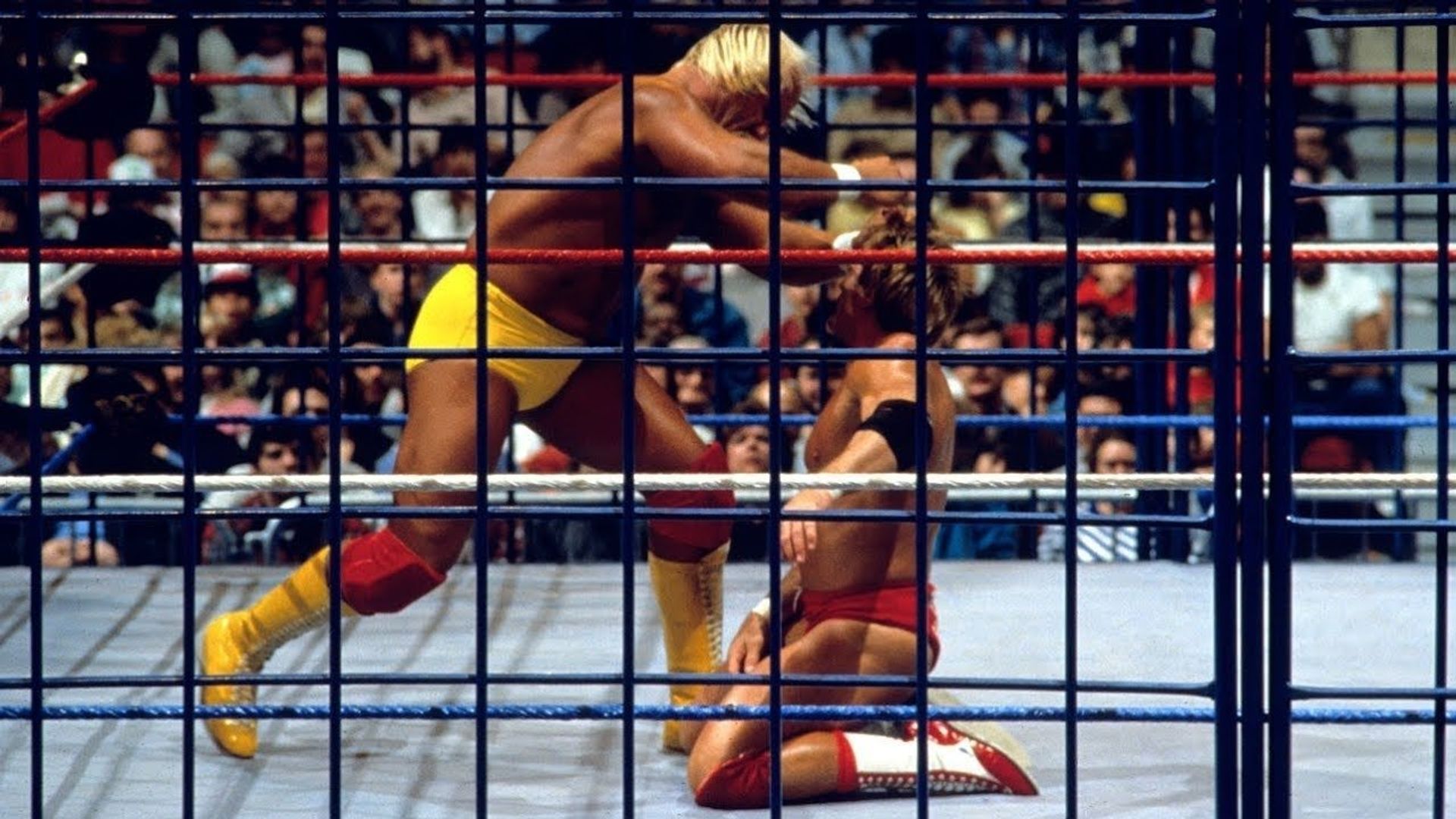 WWE Saturday Night's Main Event background