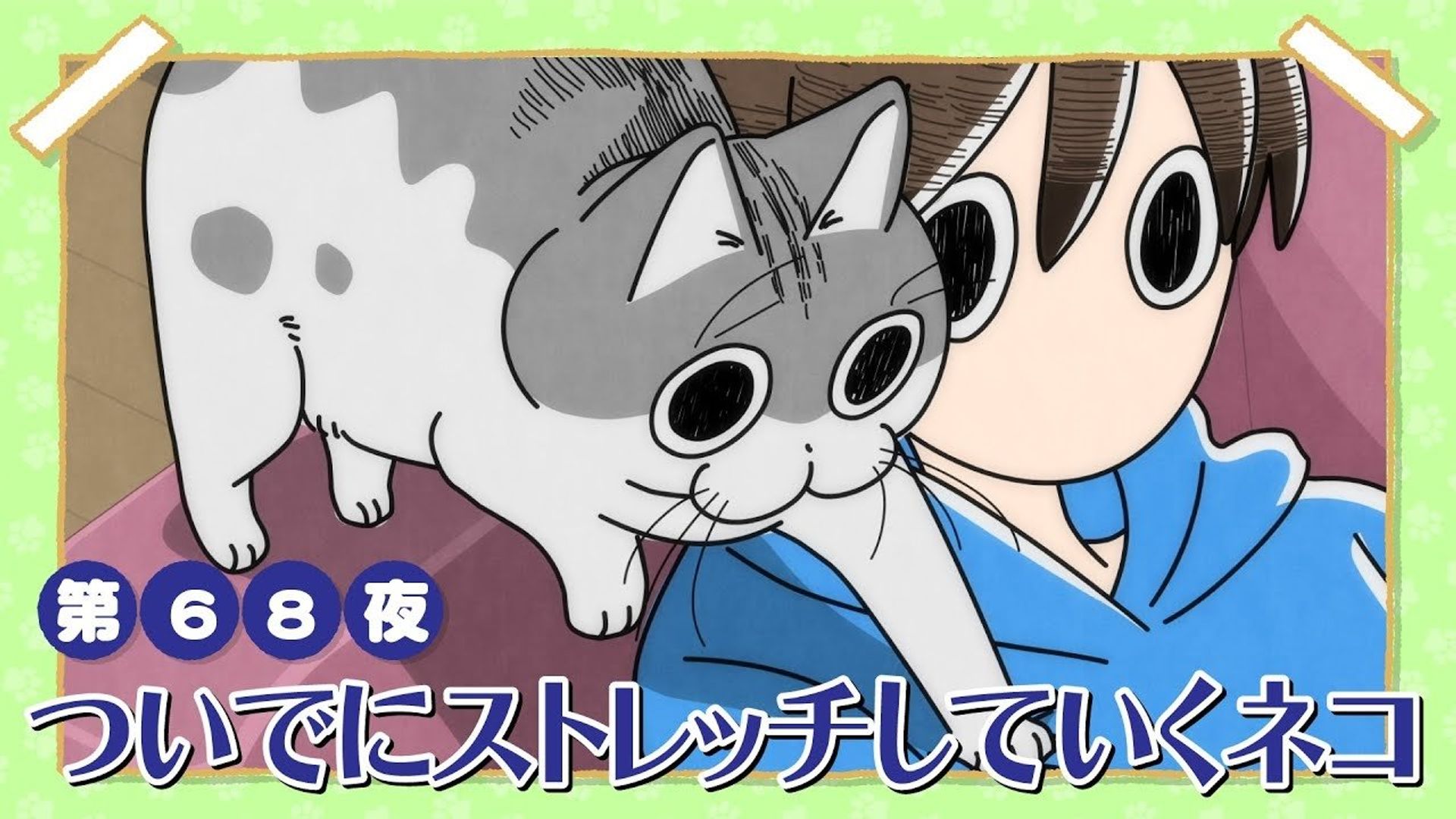 Yoru wa Neko to Issho background