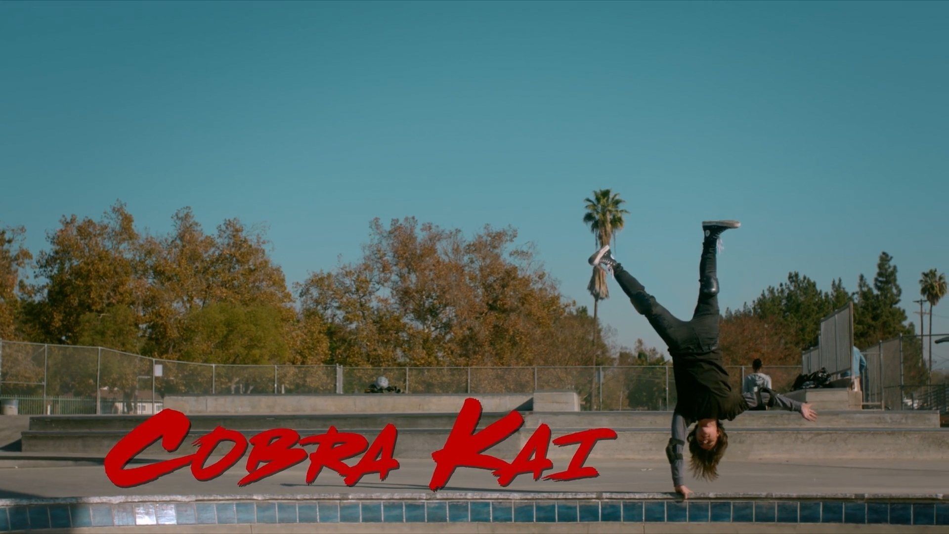 Cobra Kai background