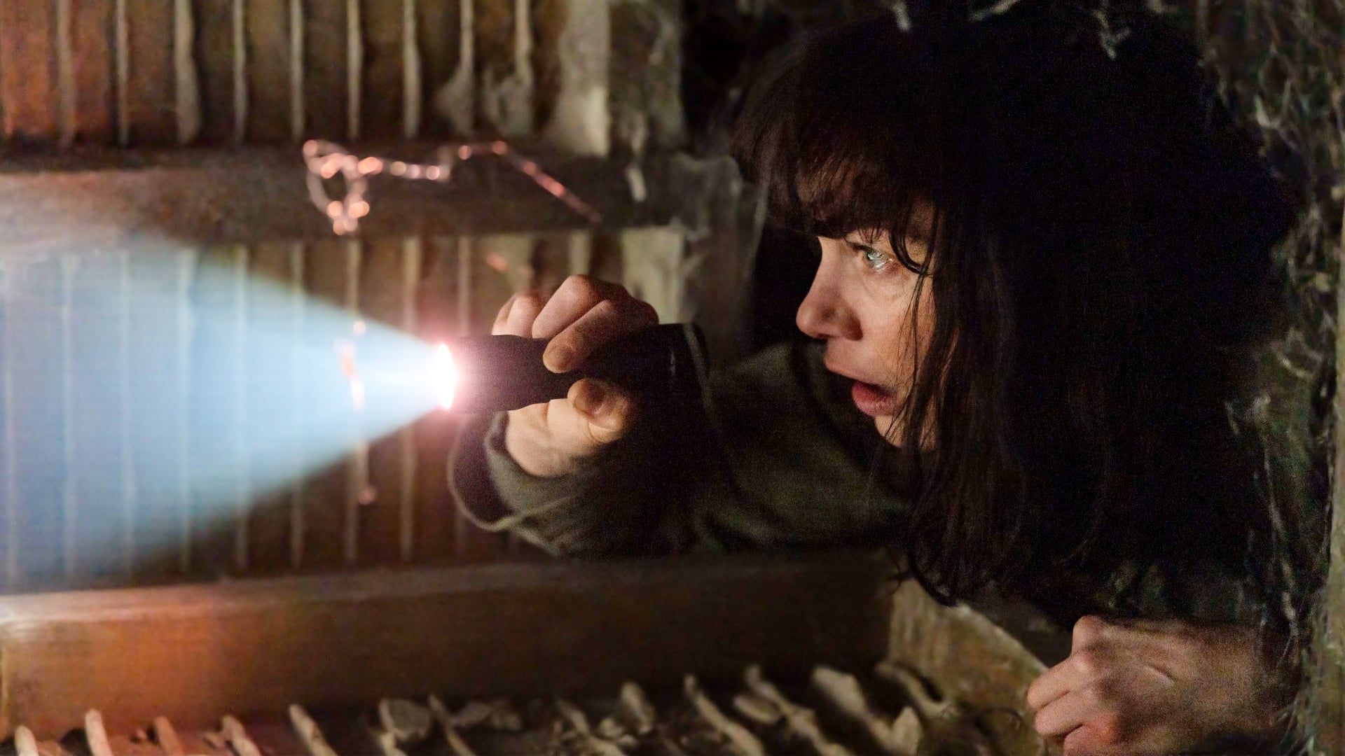 The Woman in the Wall background