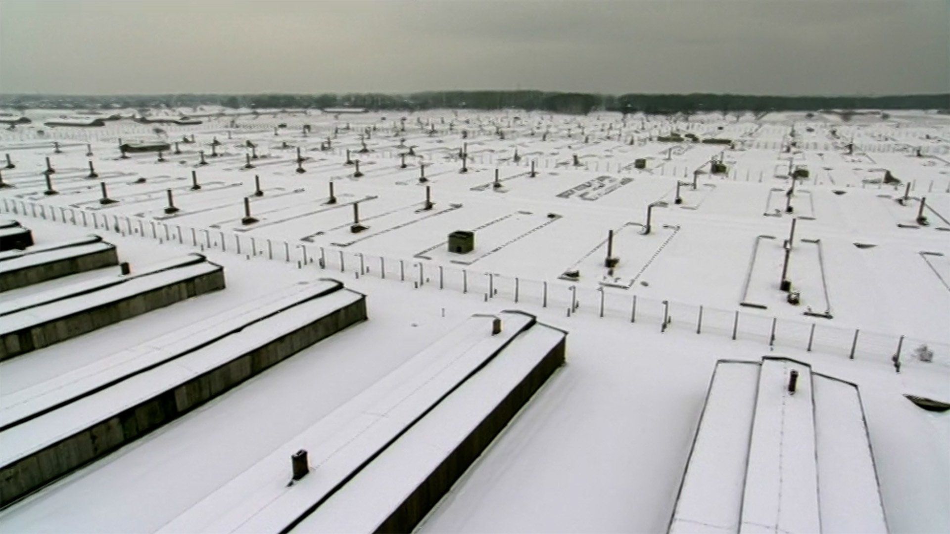 Auschwitz: Inside the Nazi State background