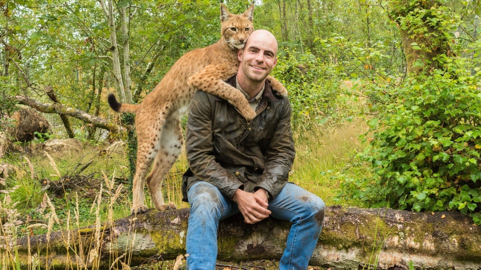 Return of the Wild: The Bearman of Buncrana background