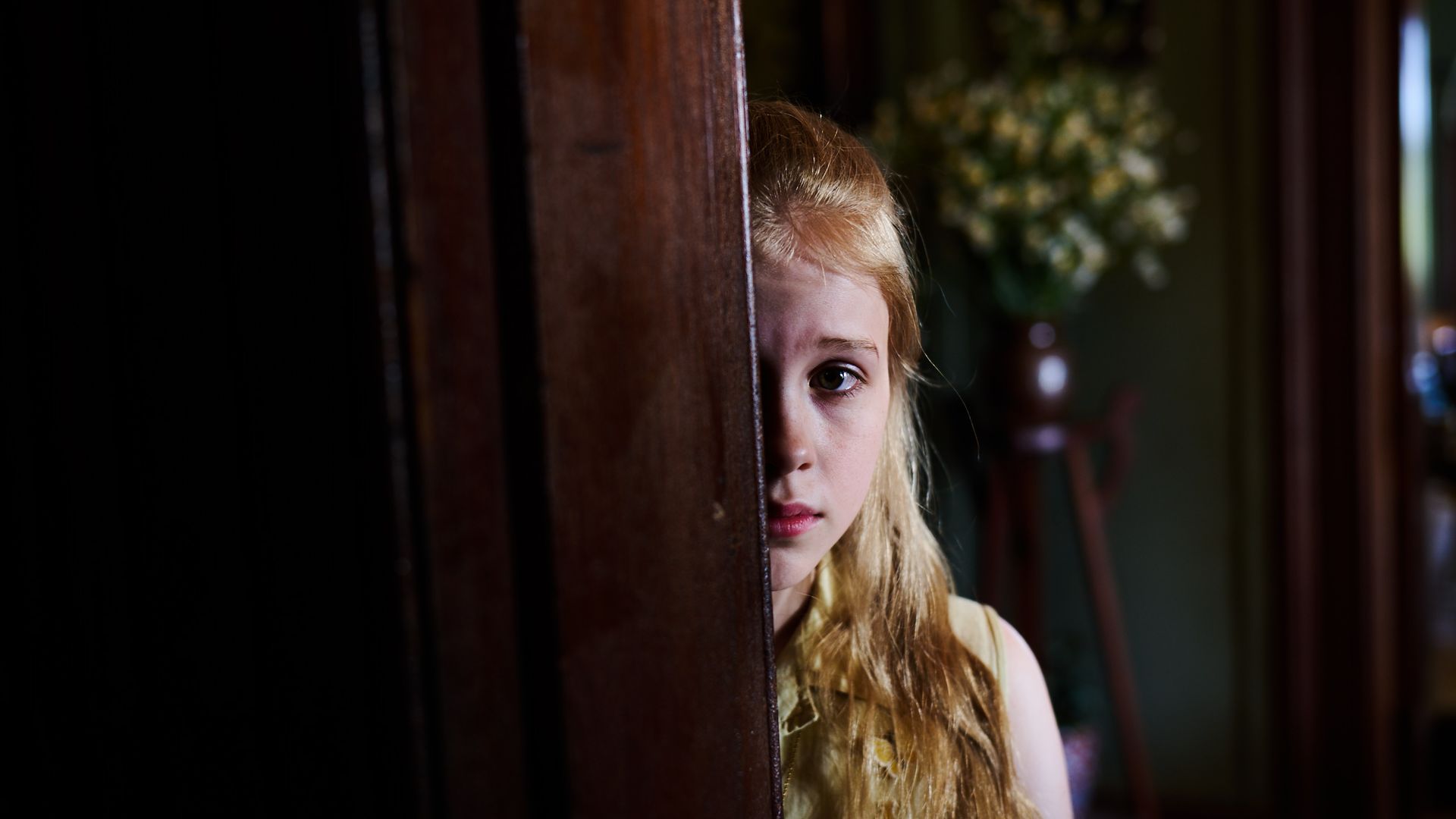 The Lost Flowers of Alice Hart background