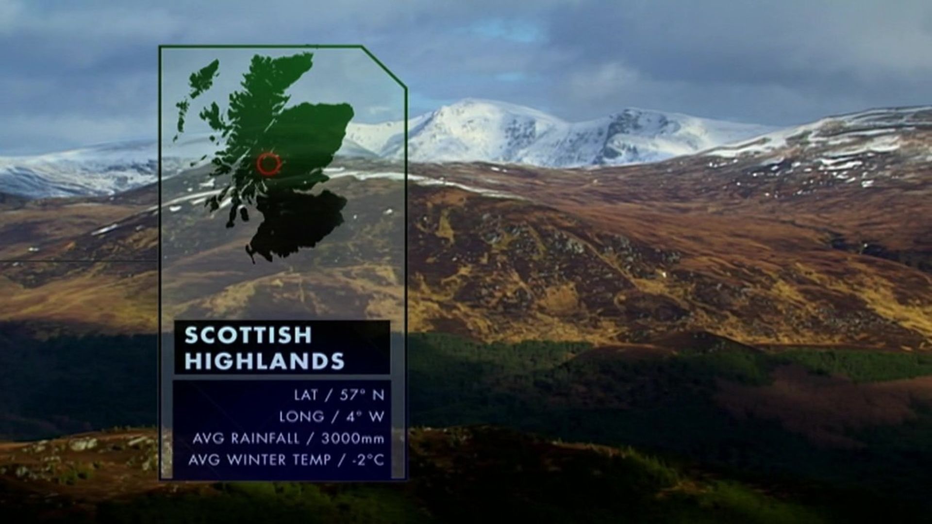 Nature's Microworlds background