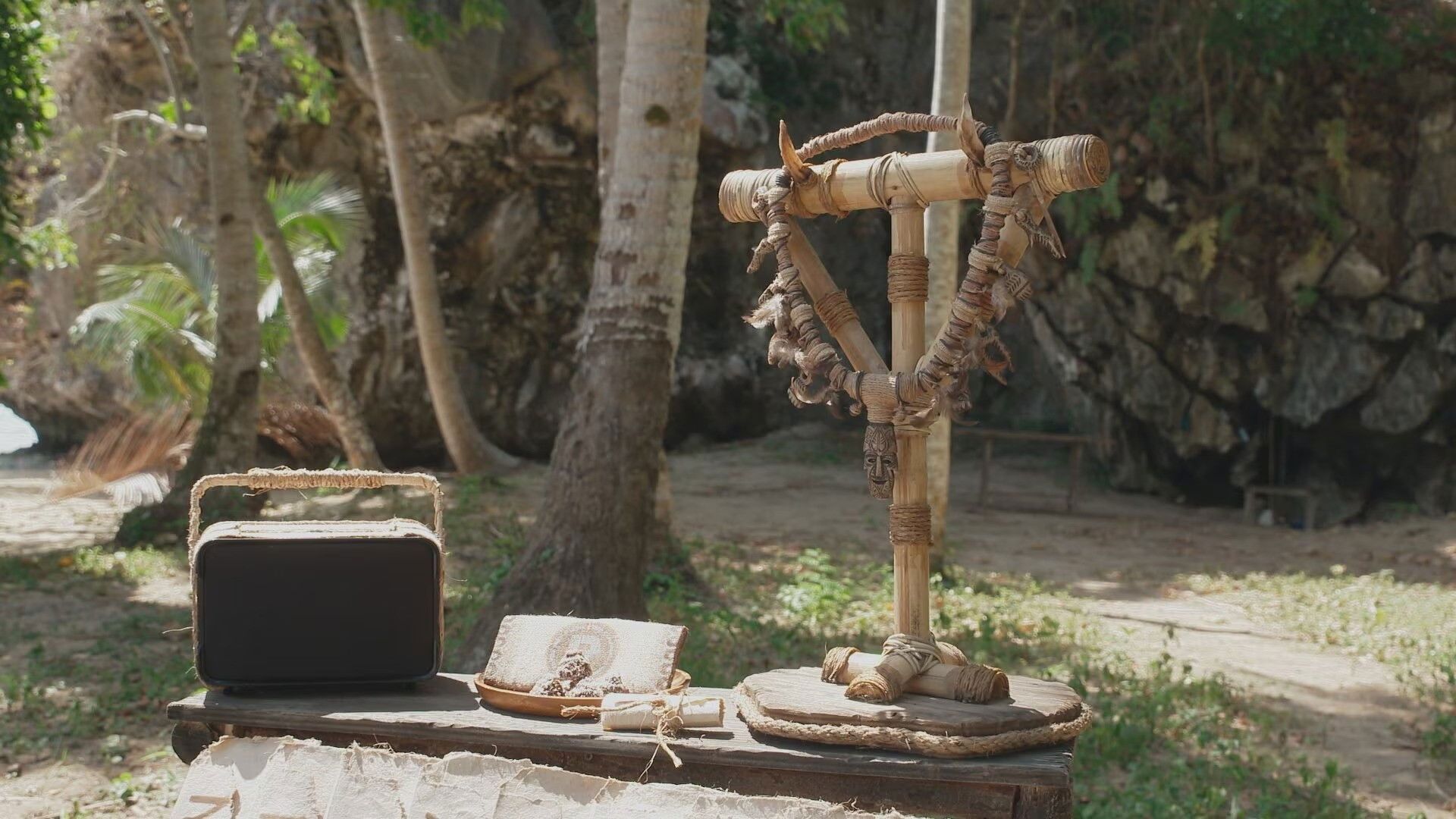 Expedition: Robinson background