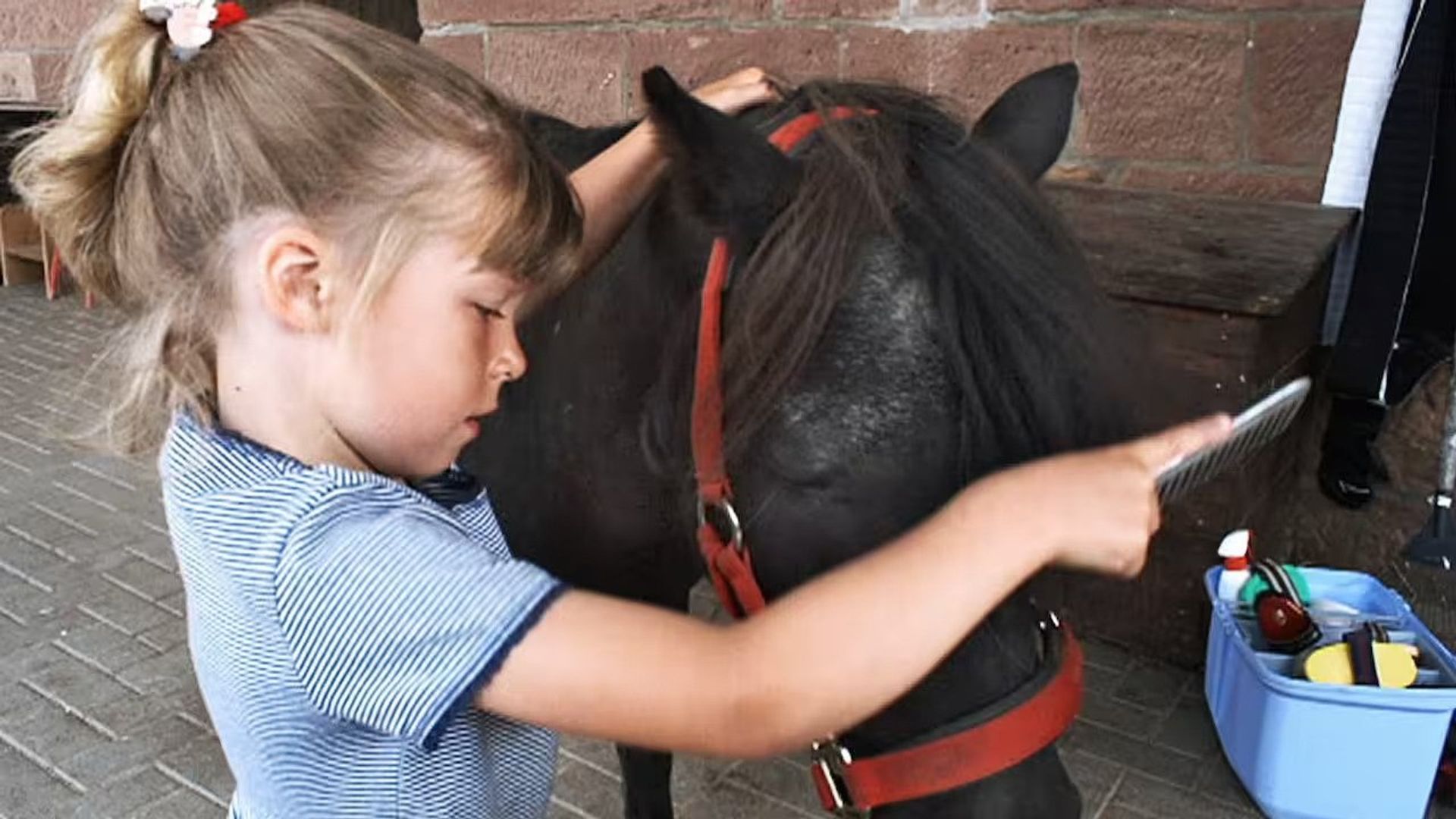 Die Sendung mit dem Elefanten background