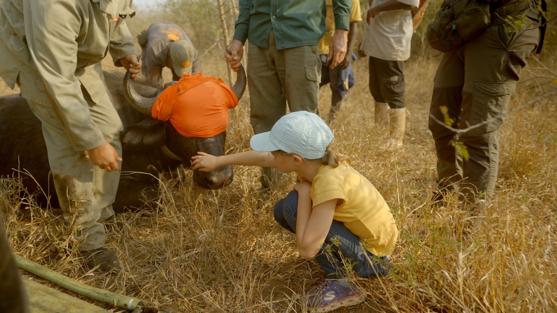 Kids in Conservation background