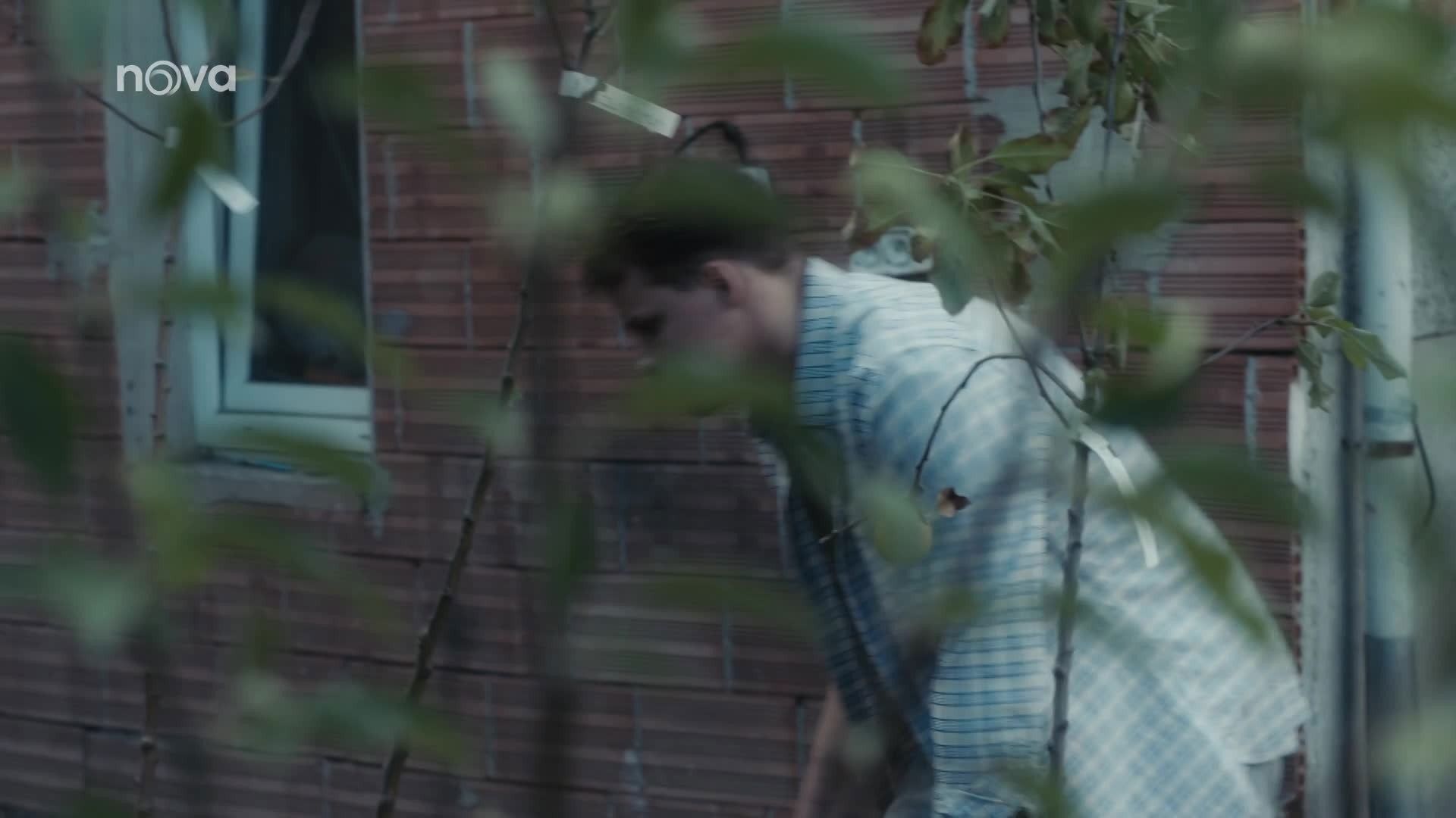 Specialisté background