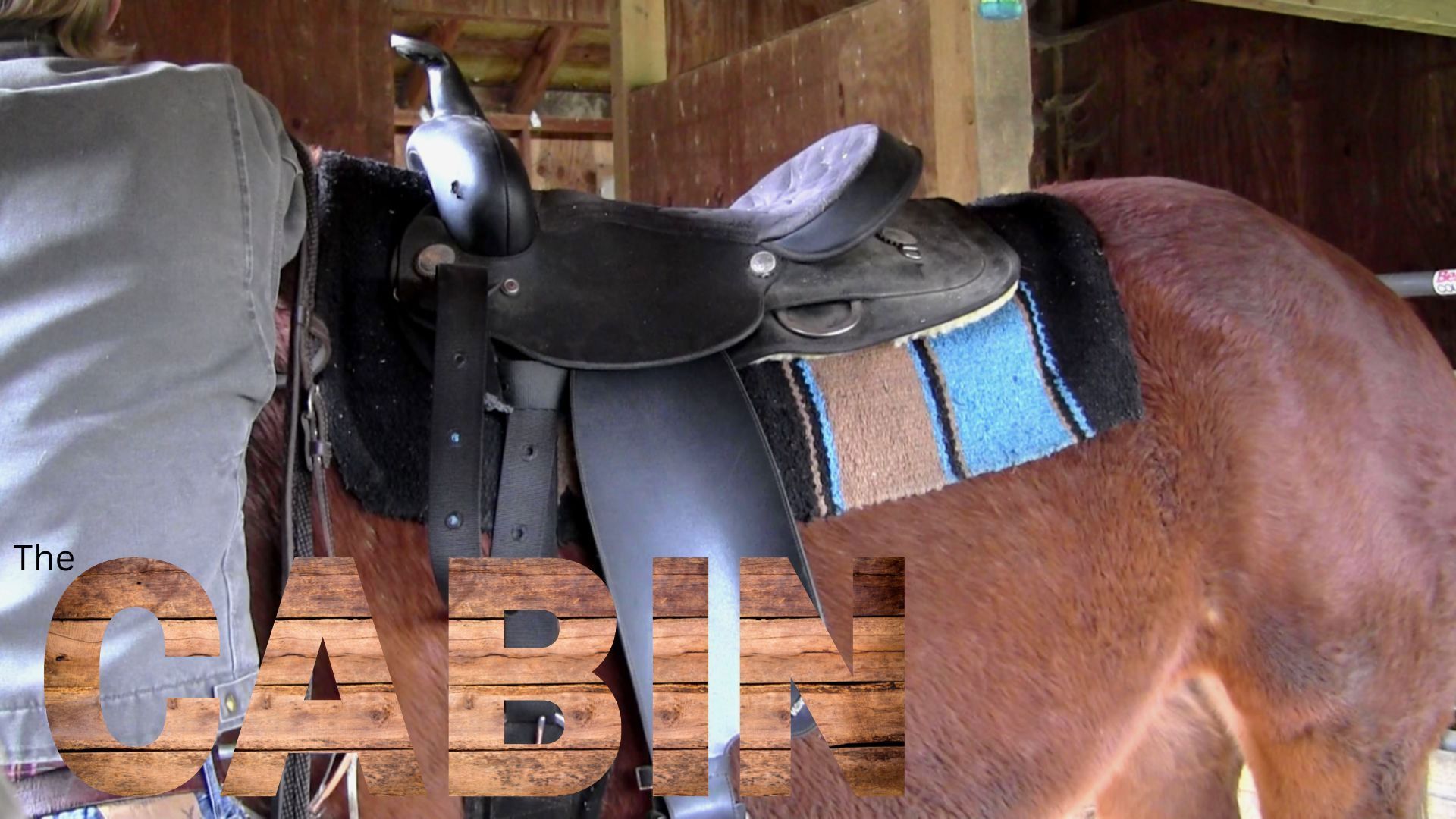 The Cabin background