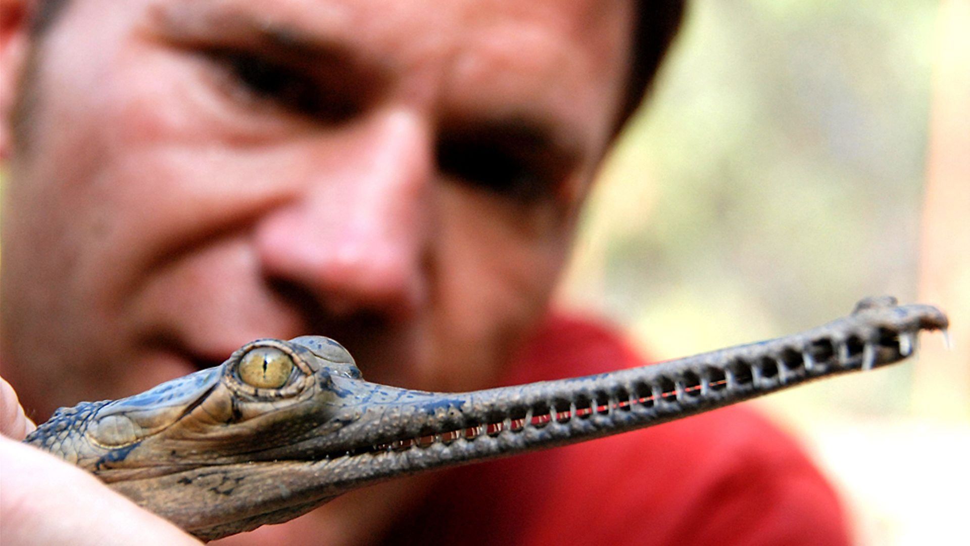 Deadly 60 background