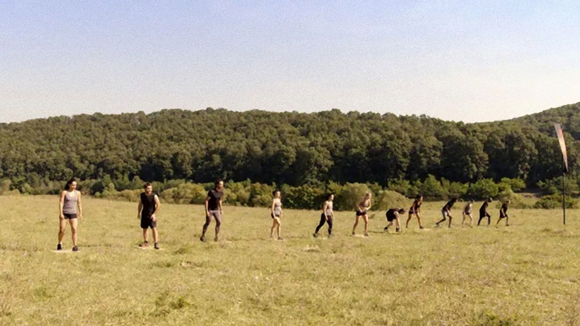 Spartan X background