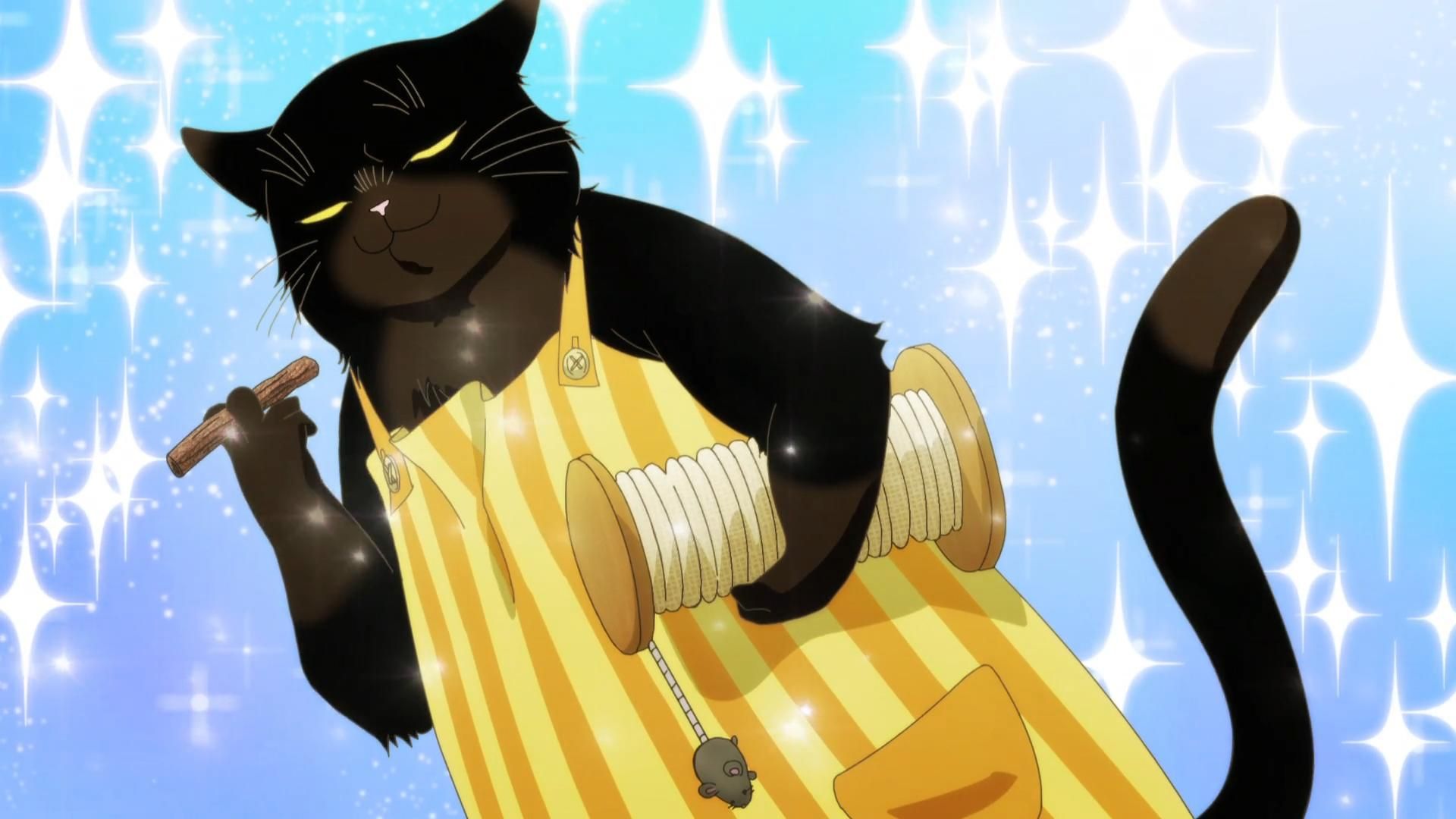 The Masterful Cat Is Depressed Again Today background