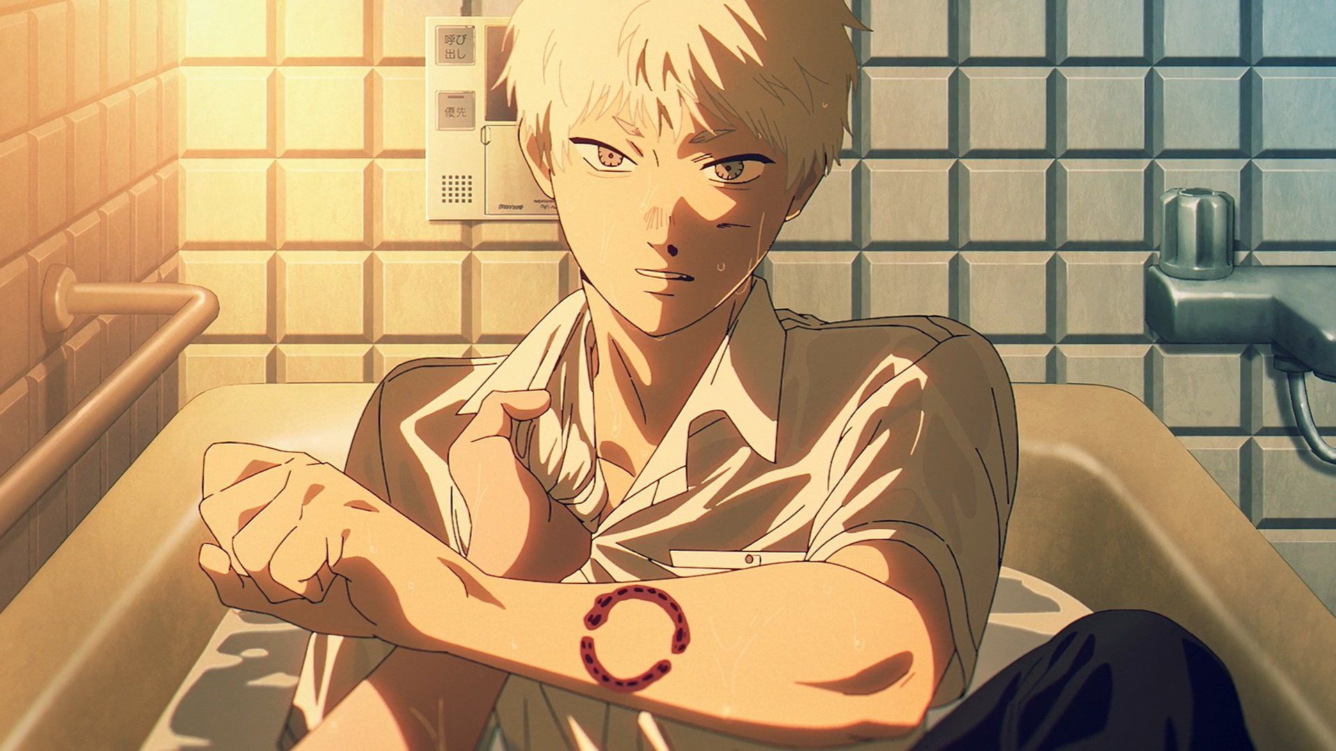 The Summer Hikaru Died background