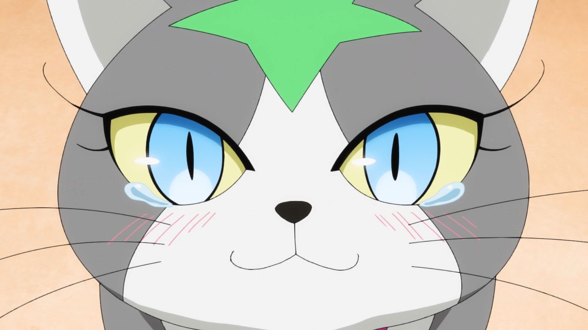 Yu-Gi-Oh!: Go Rush!! background