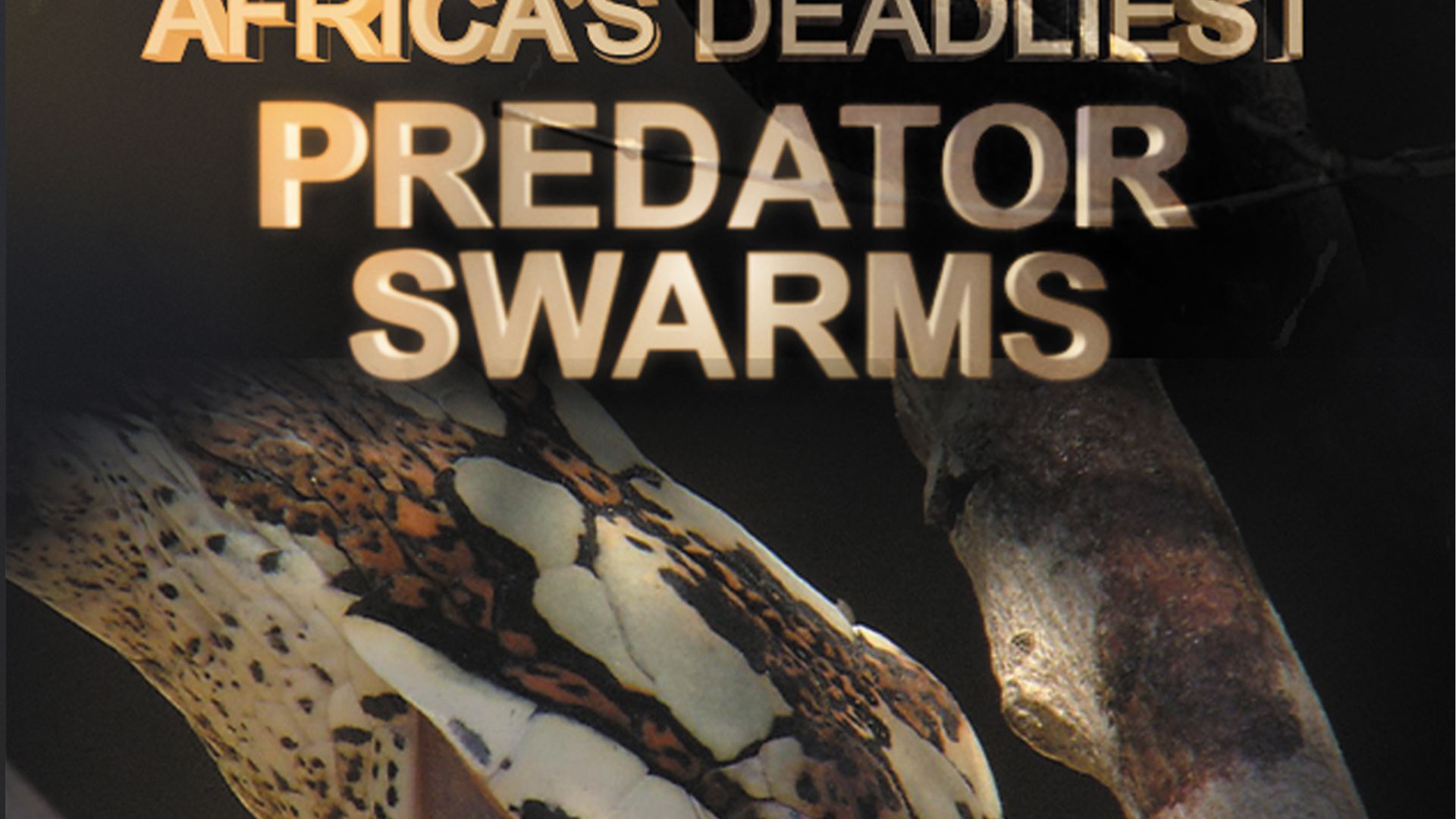 Africa's Deadliest background