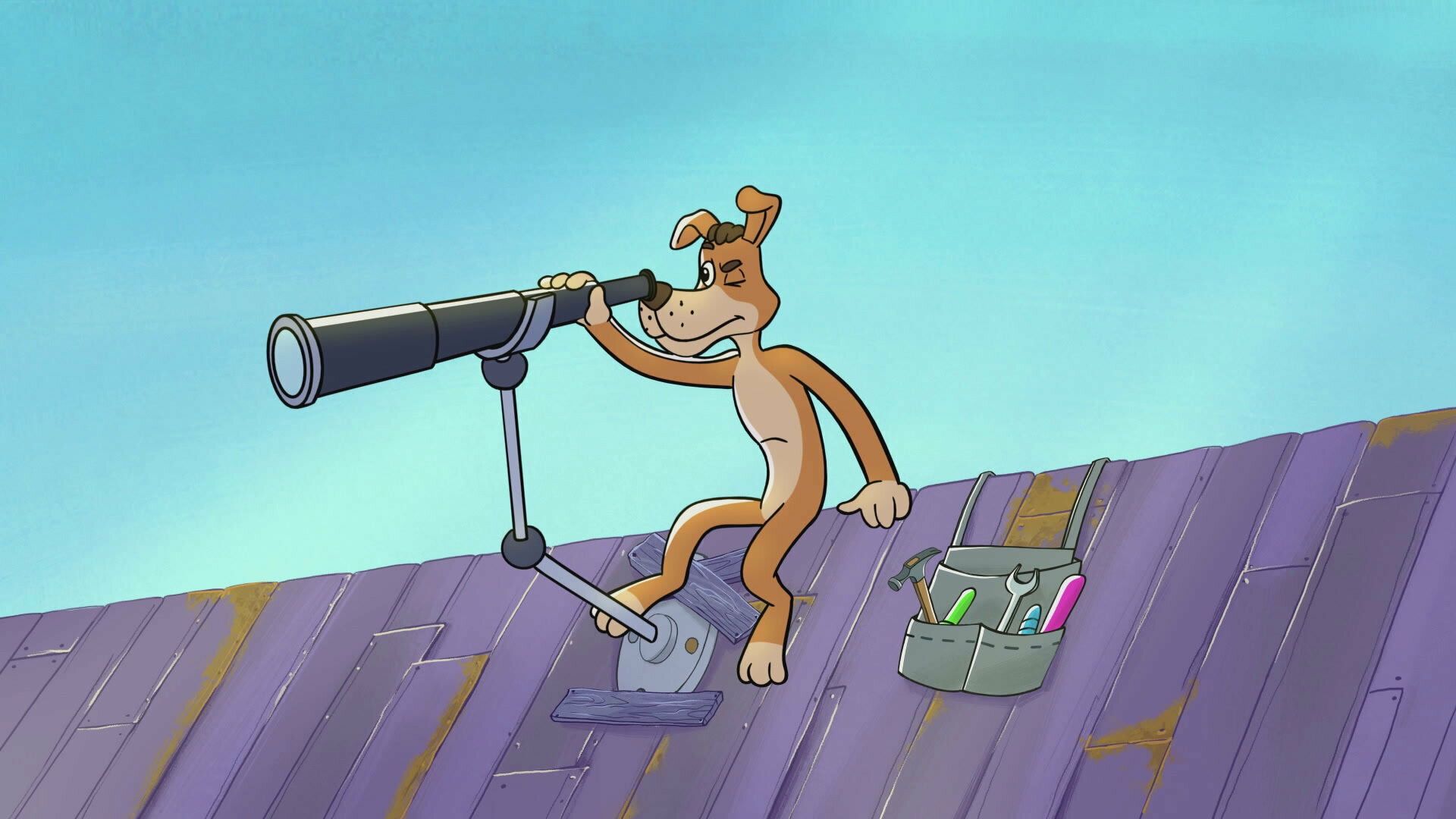 Mr. Theo, Cat & Dog background