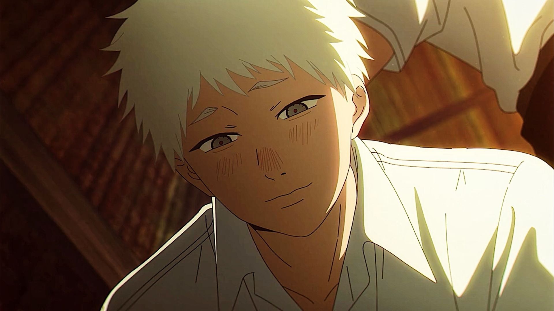 The Summer Hikaru Died background