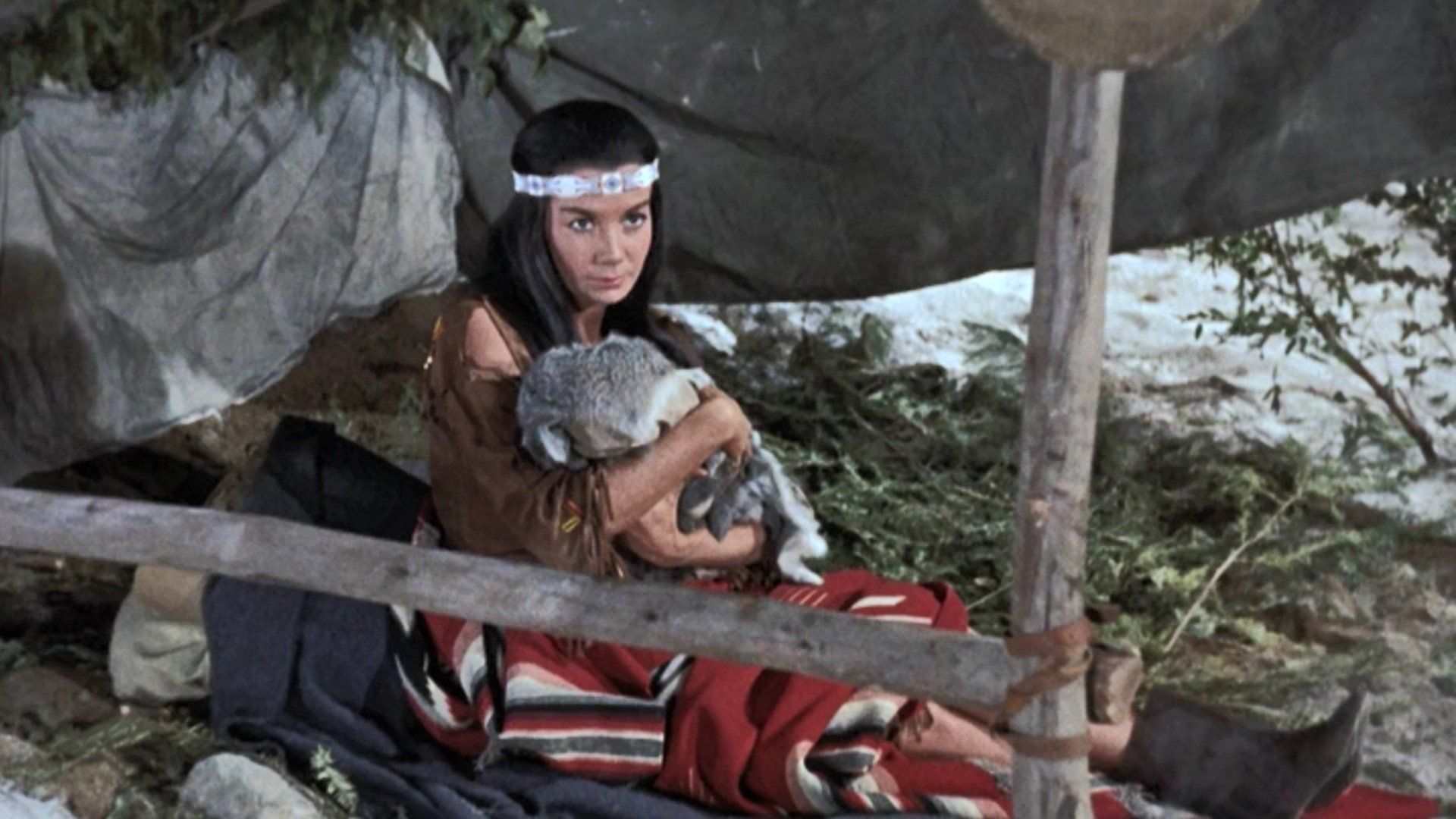 Bonanza background