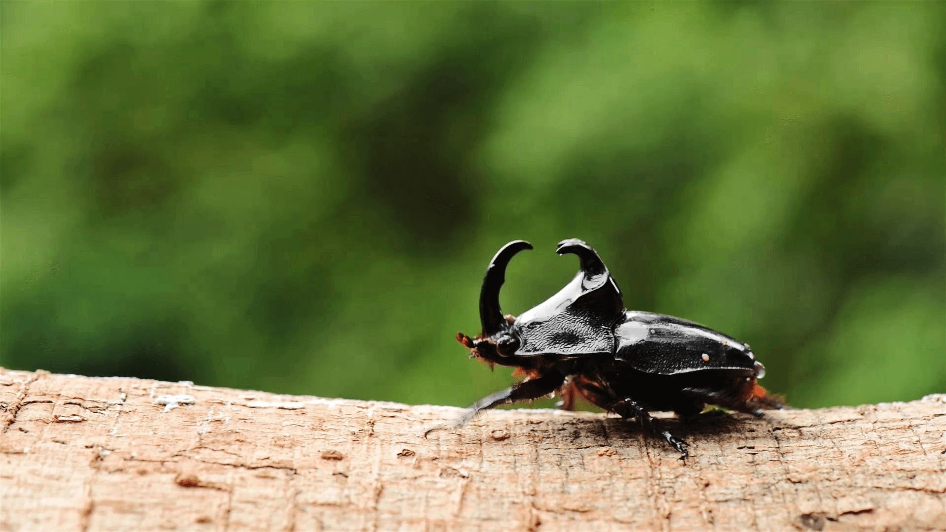 Destination World background