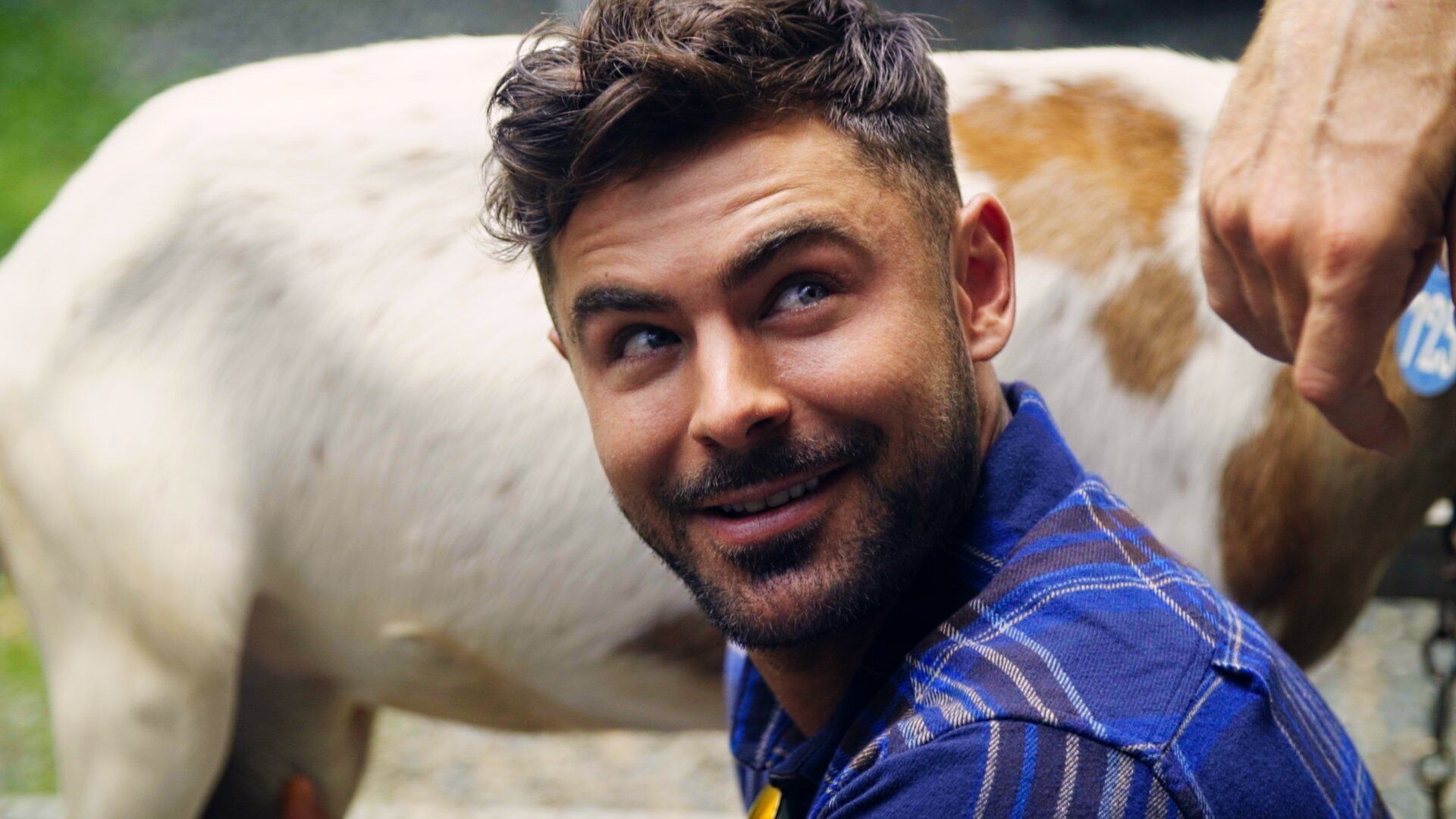 Down to Earth with Zac Efron background