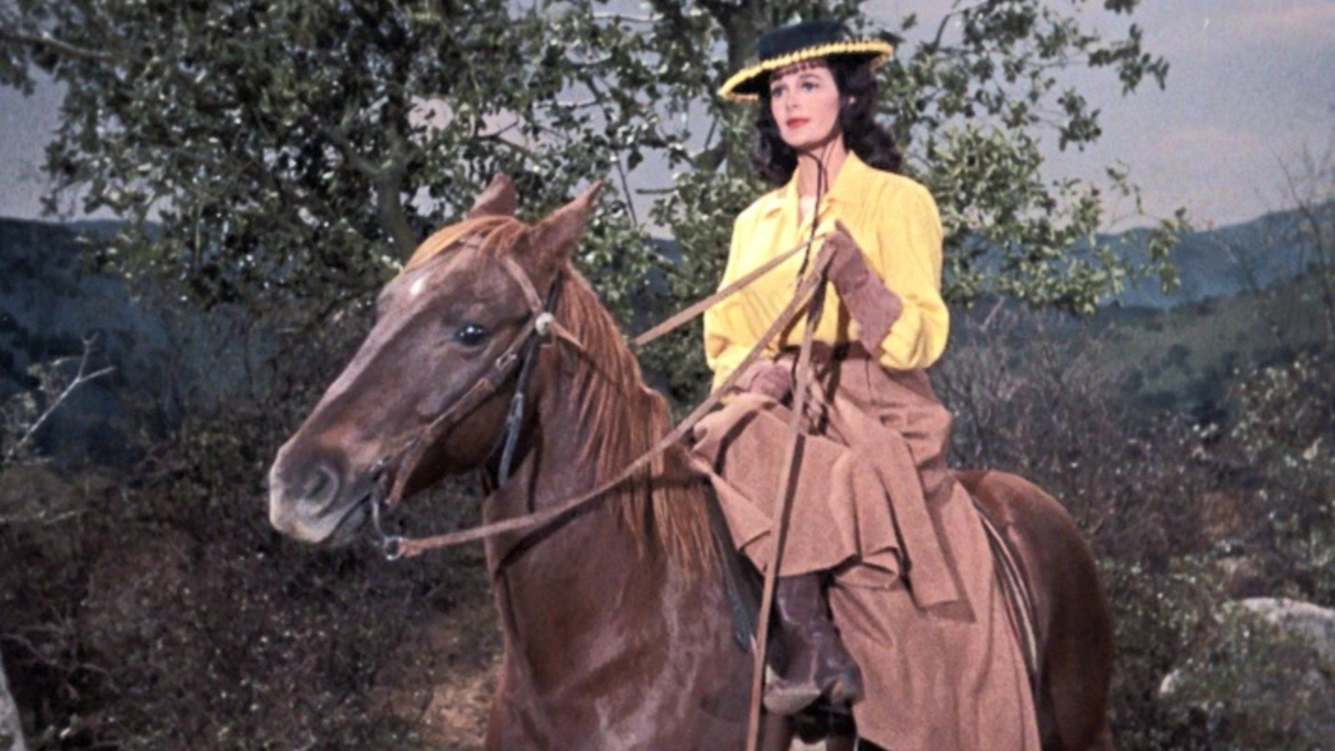 Bonanza background
