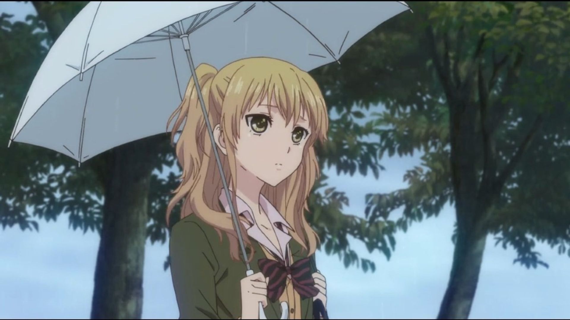 Citrus background