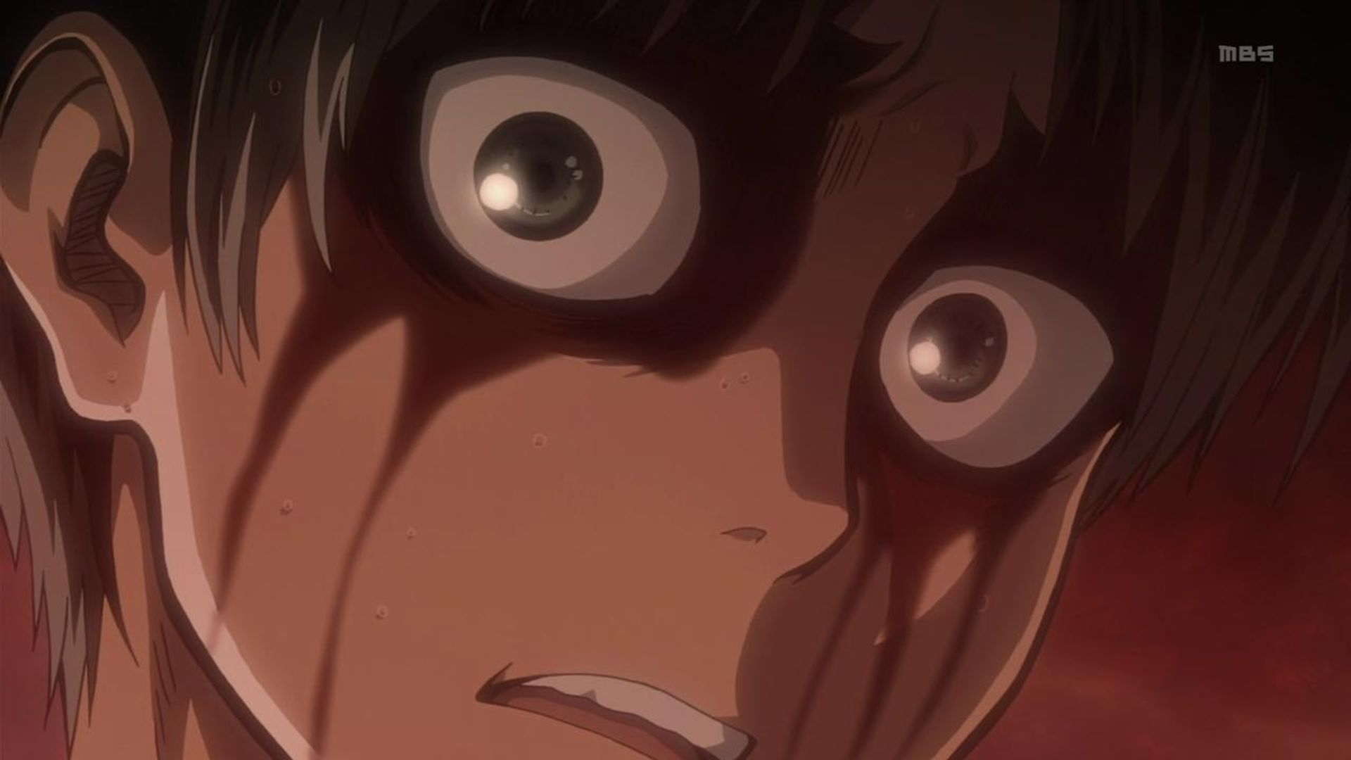 Attack on Titan background