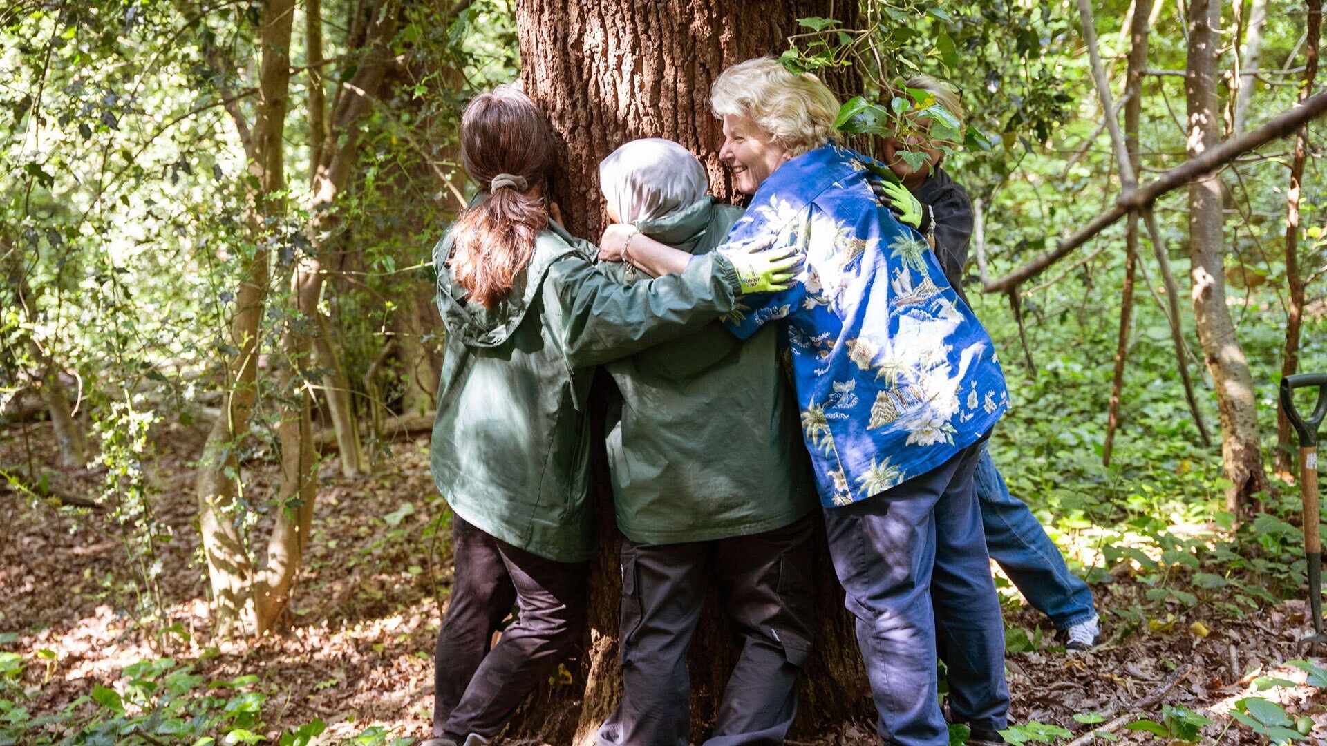 Sandi's Wood background