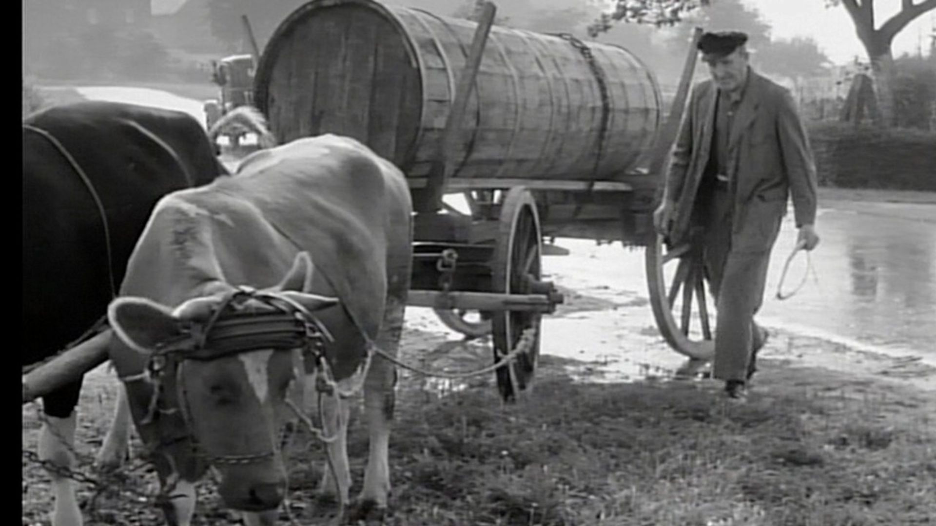 Heimat: A Chronicle of Germany background