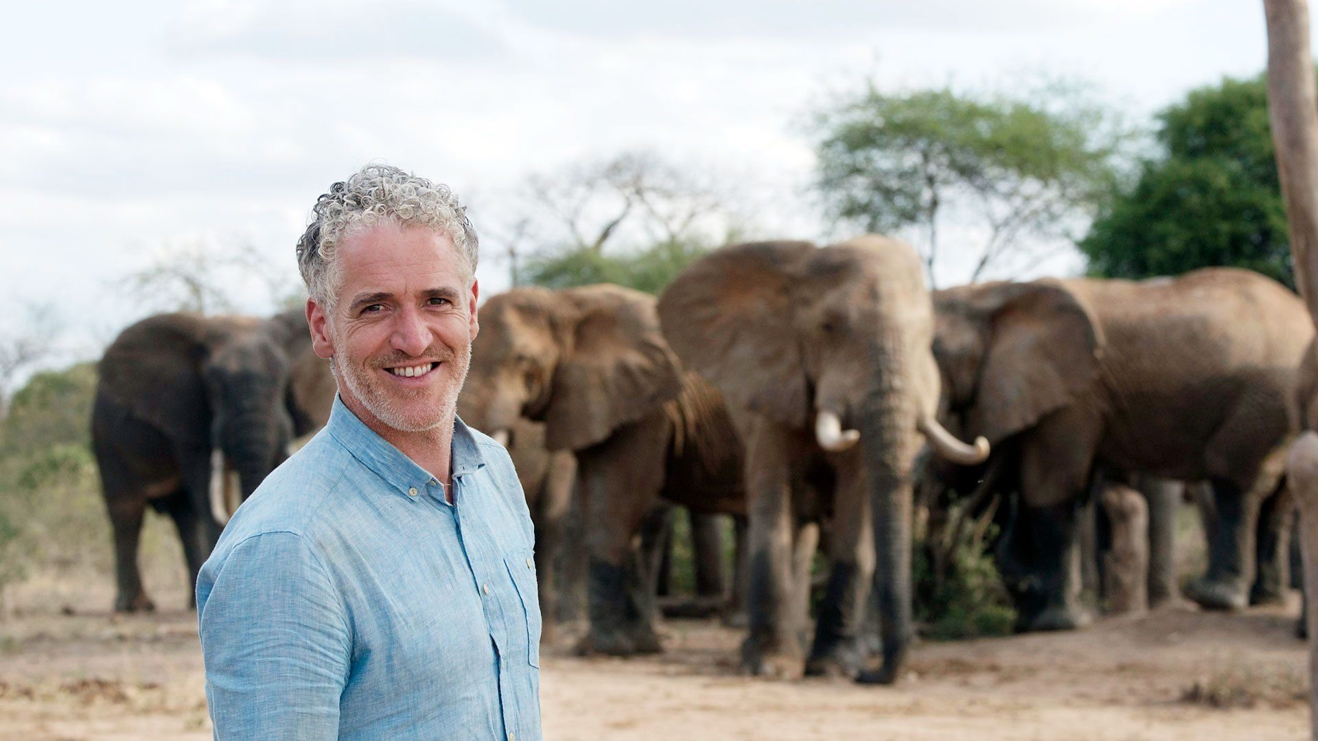 Gordon Buchanan: Elephant Family & Me background