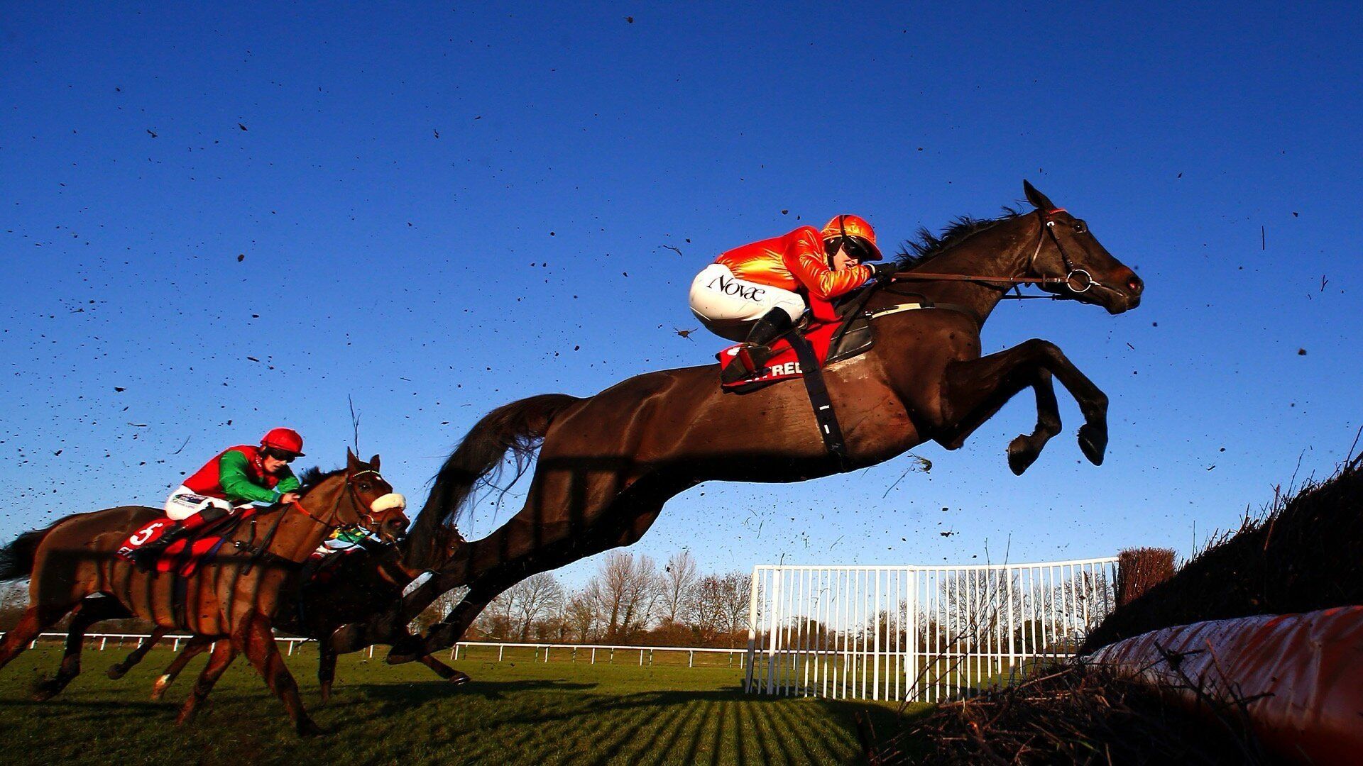 Champions: Full Gallop background