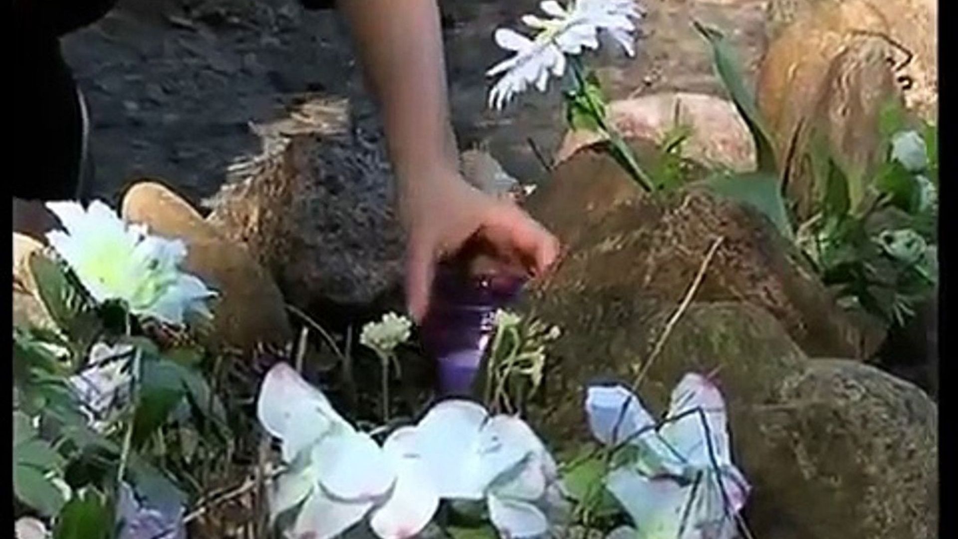 Women lie better background