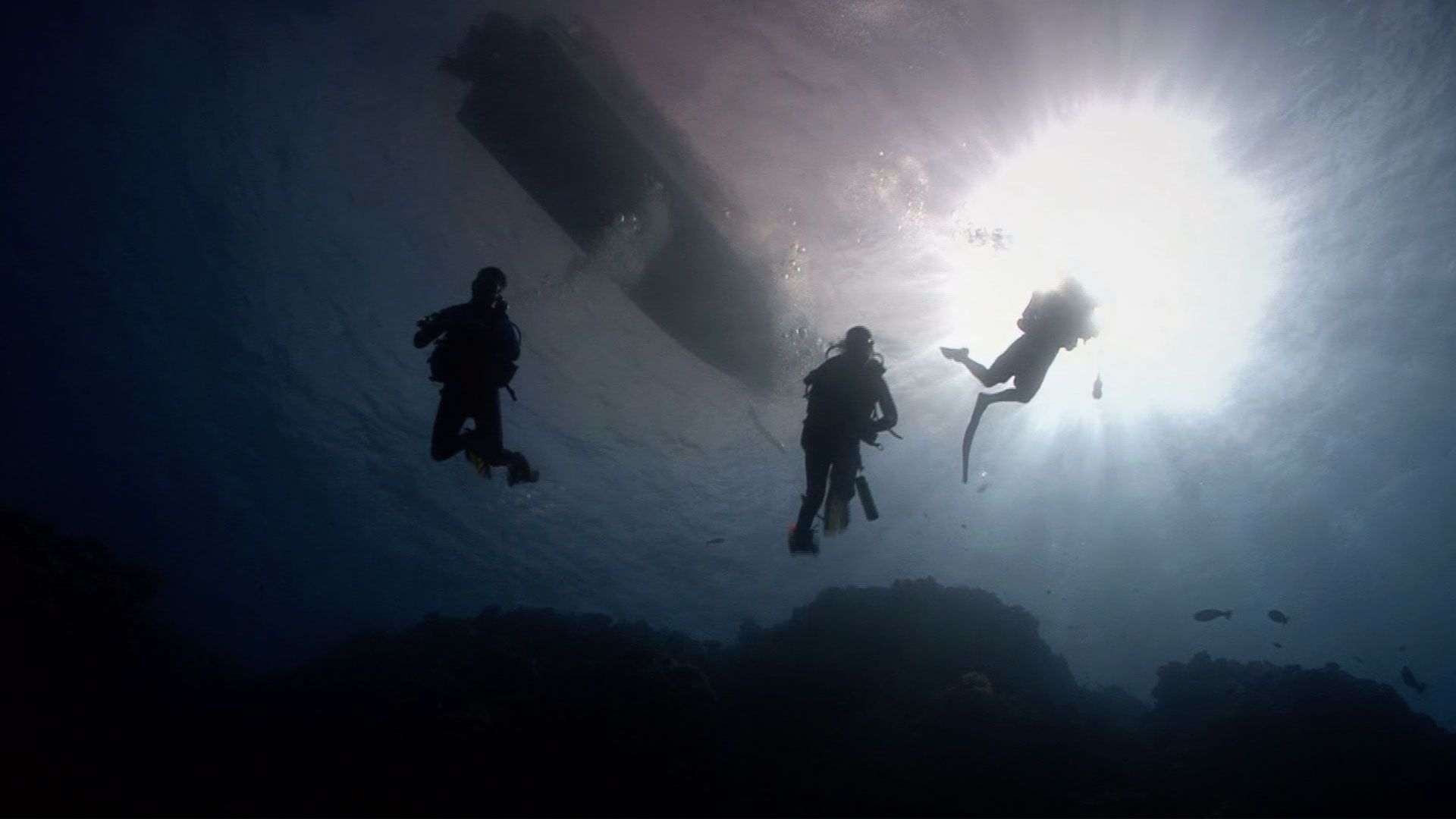 Beyond Oak Island background