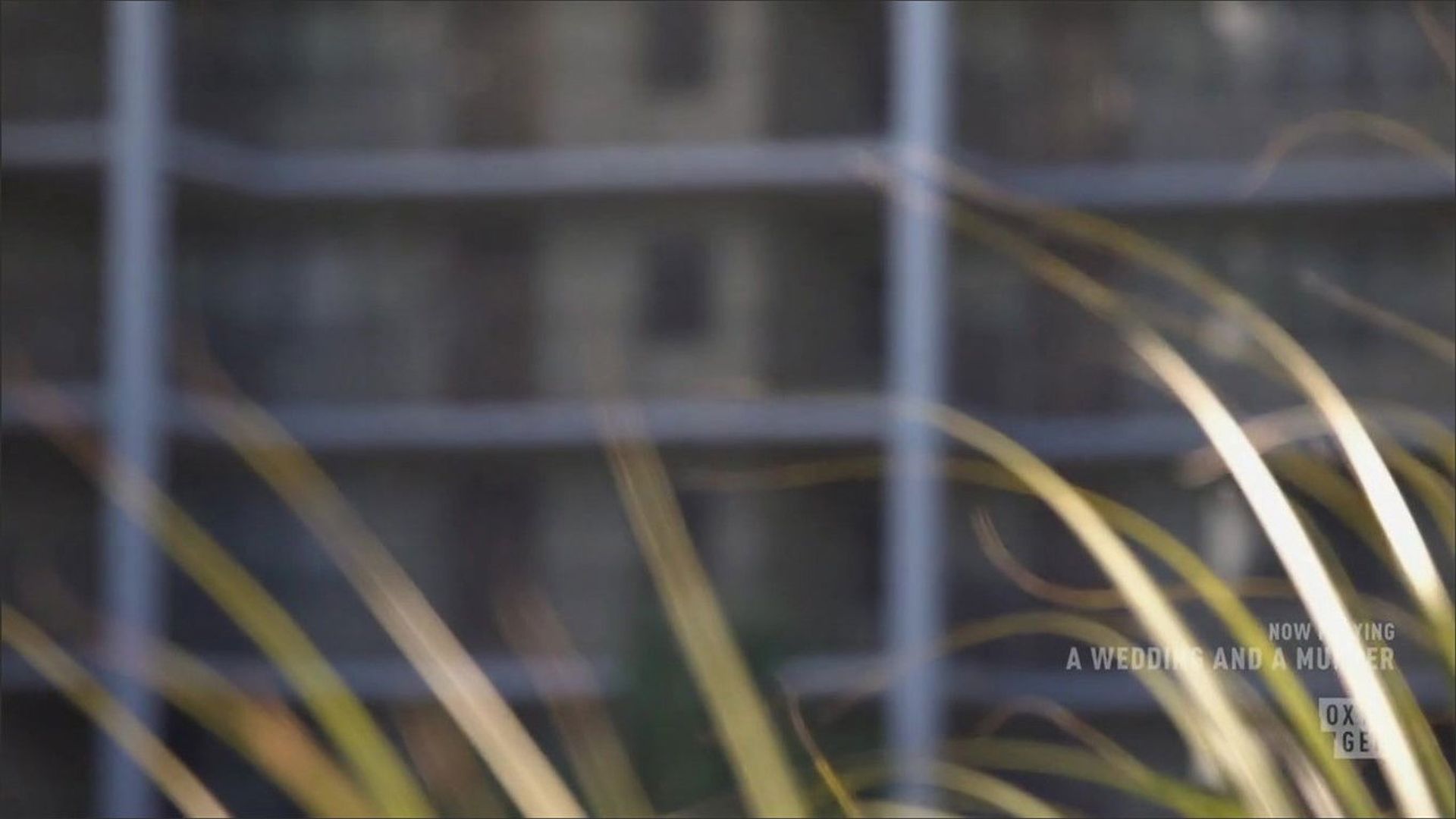 A Wedding and a Murder background