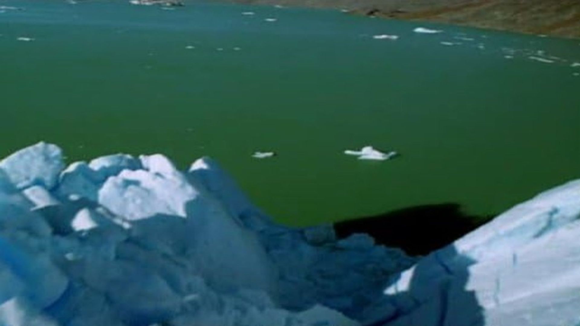 Andes to Amazon background