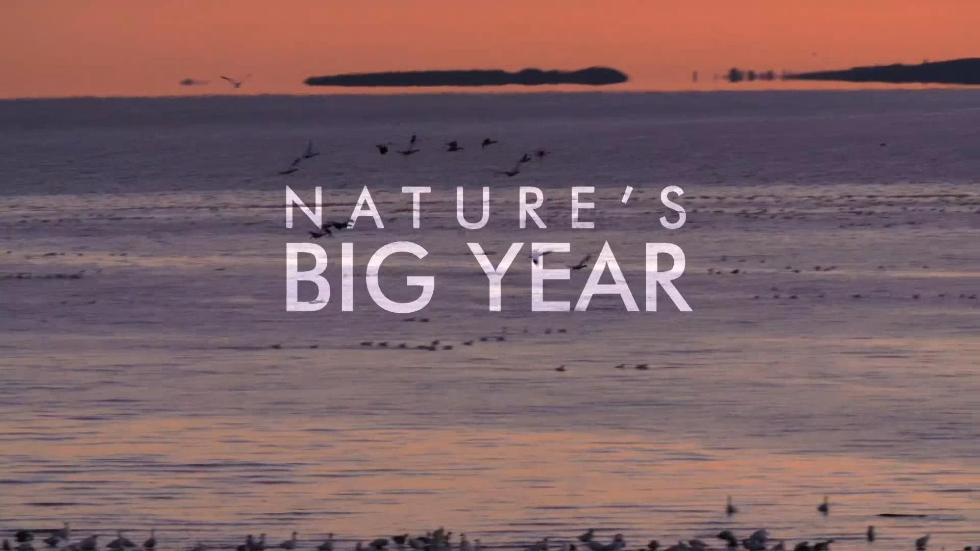 The Nature of Things background