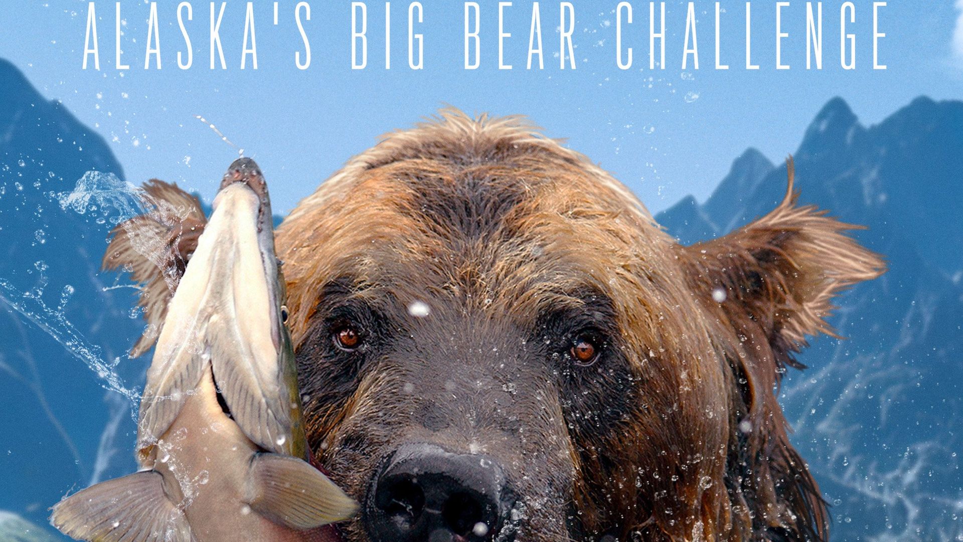 The Hungry Games: Alaska Big Bear Challenge background