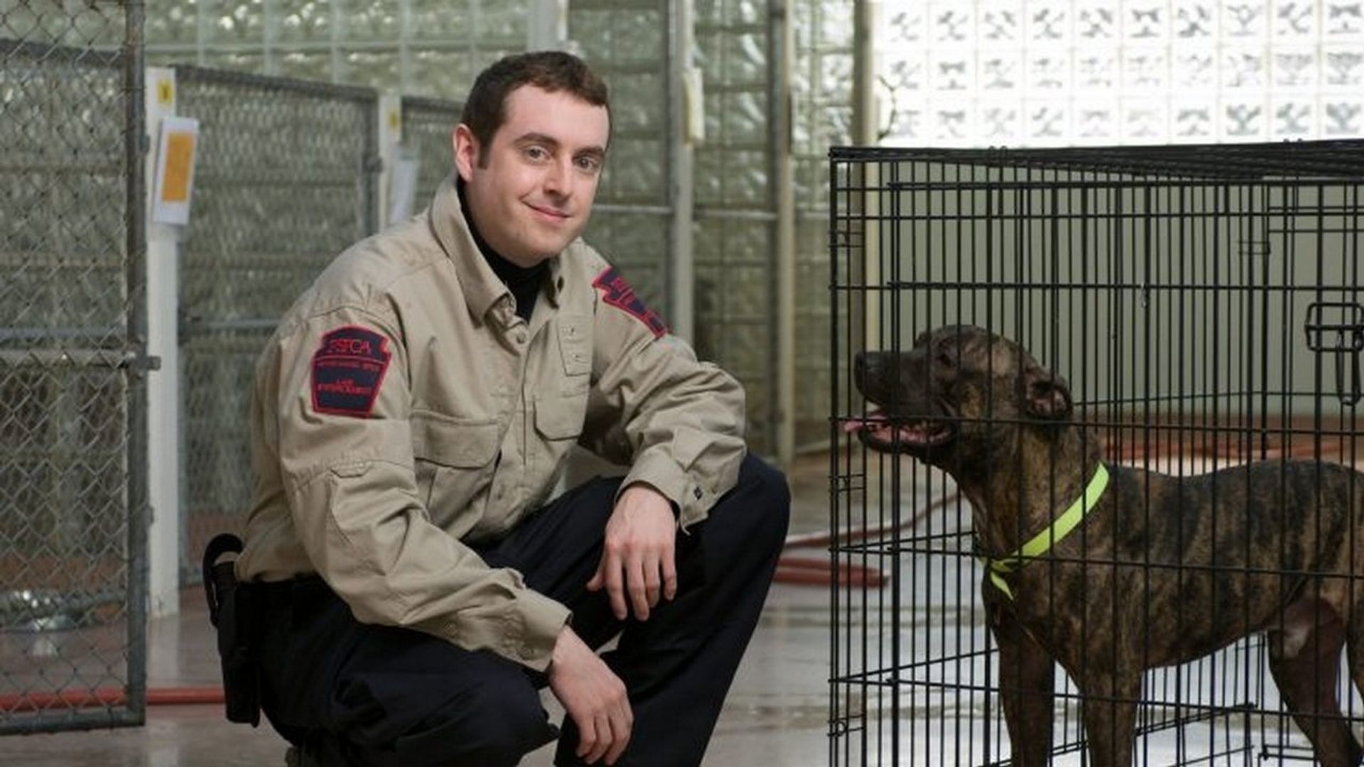Animal Cops: Philadelphia background