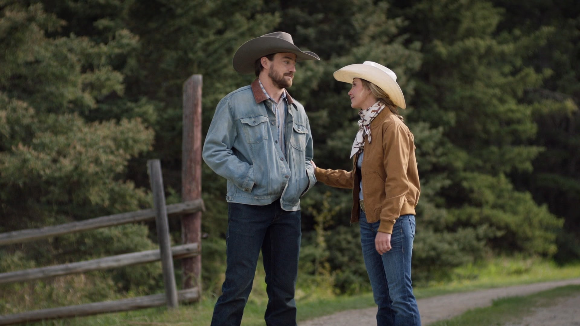Heartland background