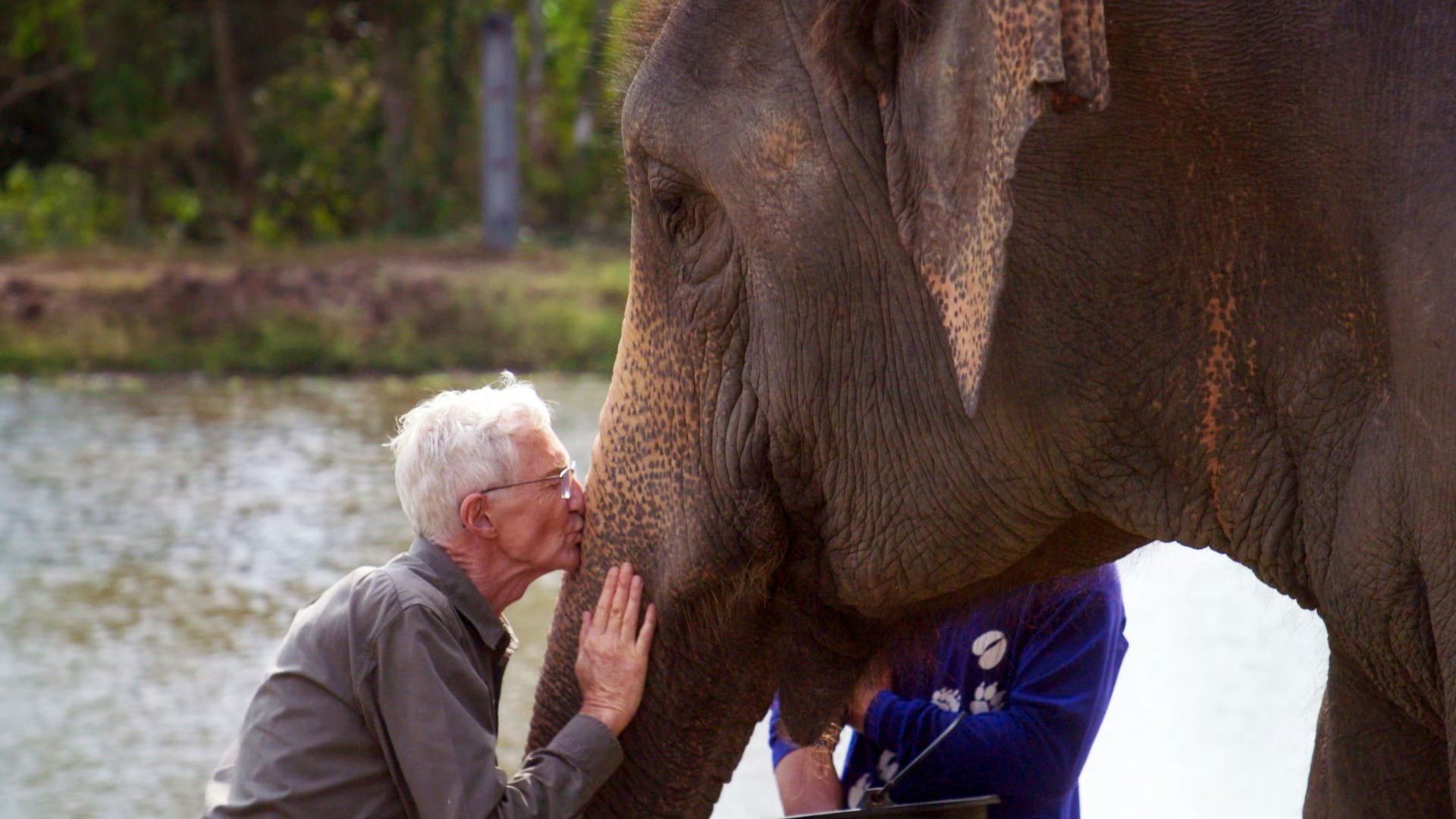 Paul O'Grady's Great Elephant Adventure background