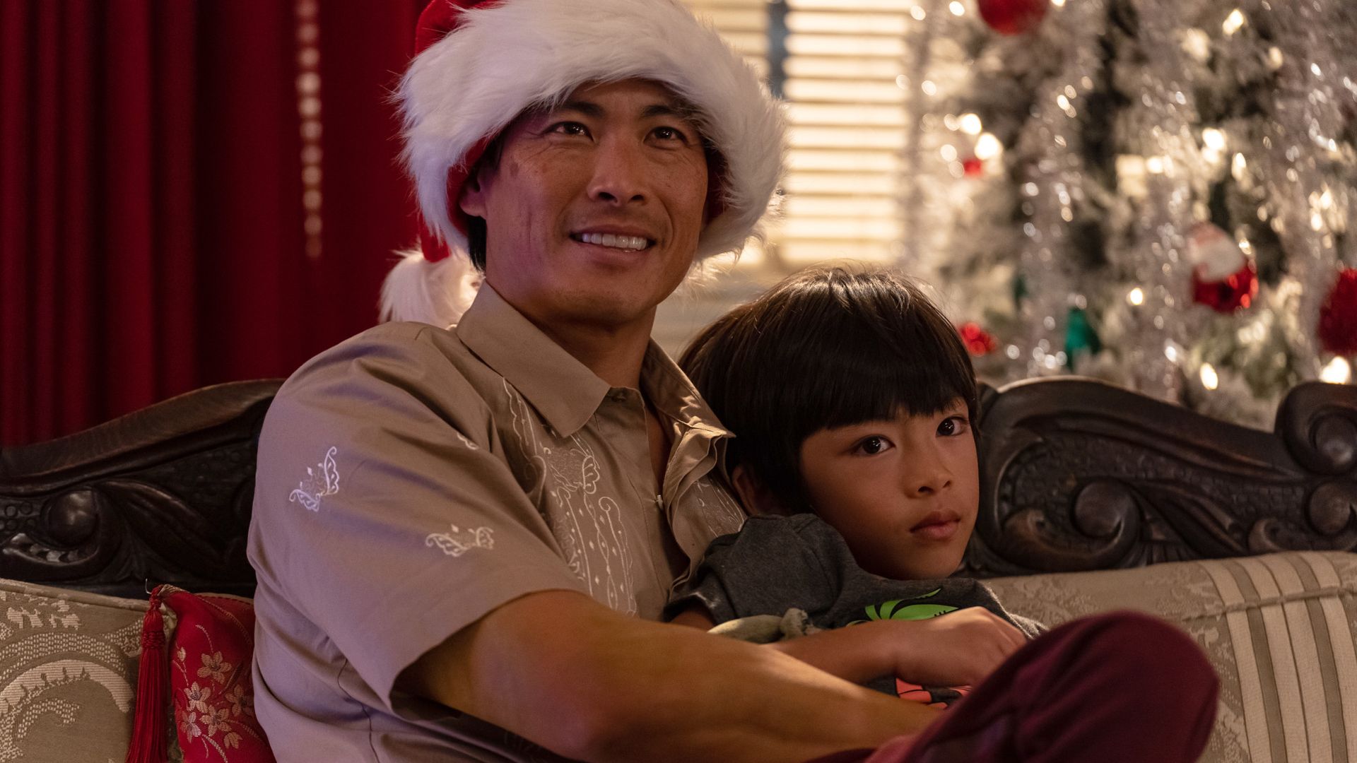 The Cleaning Lady background