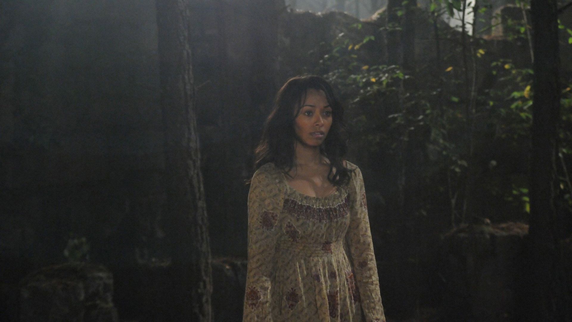 The Vampire Diaries background