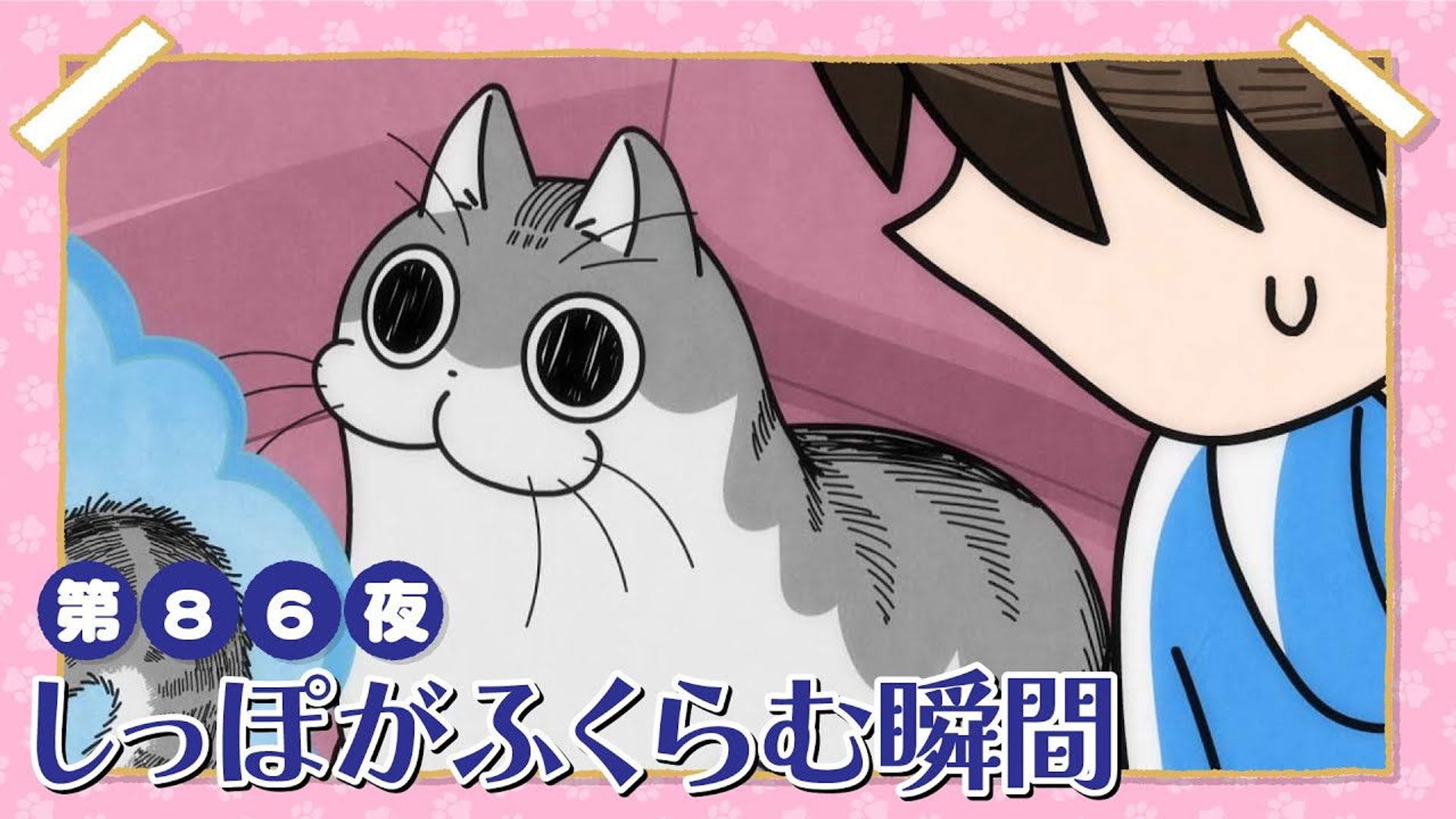 Yoru wa Neko to Issho background